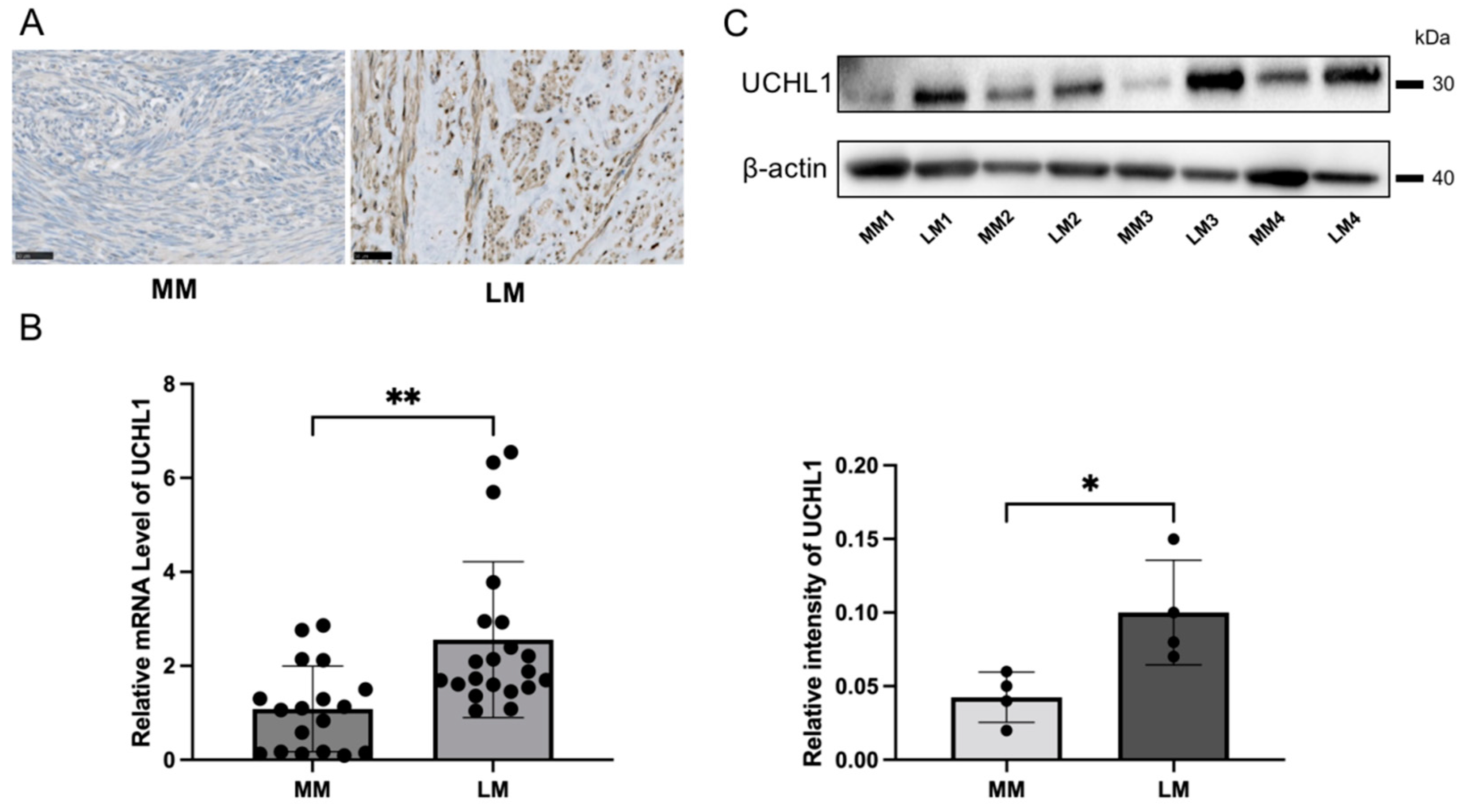 Biomolecules 13 00193 g001