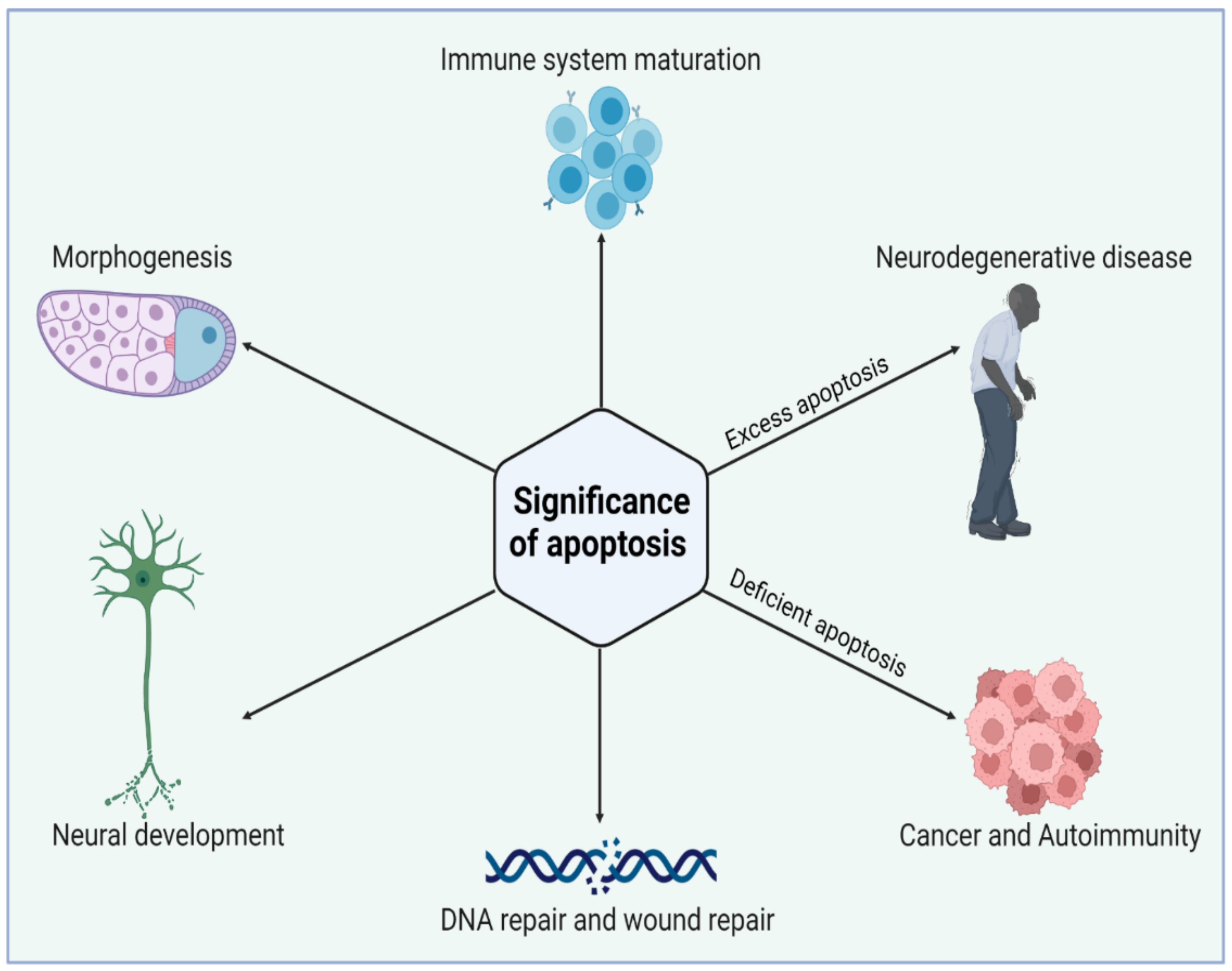 Biomolecules 13 00194 g002
