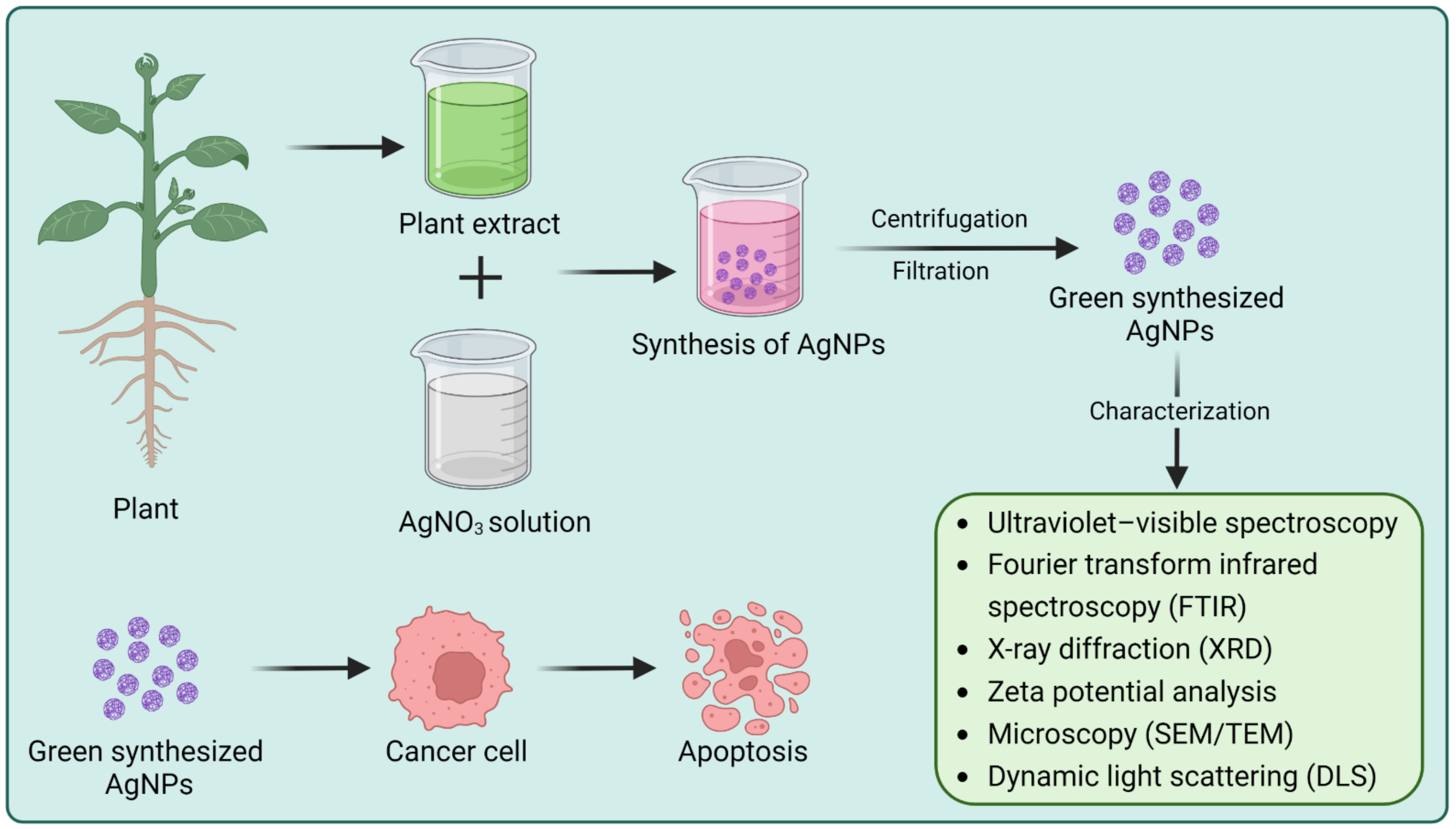 Biomolecules 13 00194 g003
