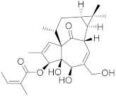 Biomolecules 13 00194 i022