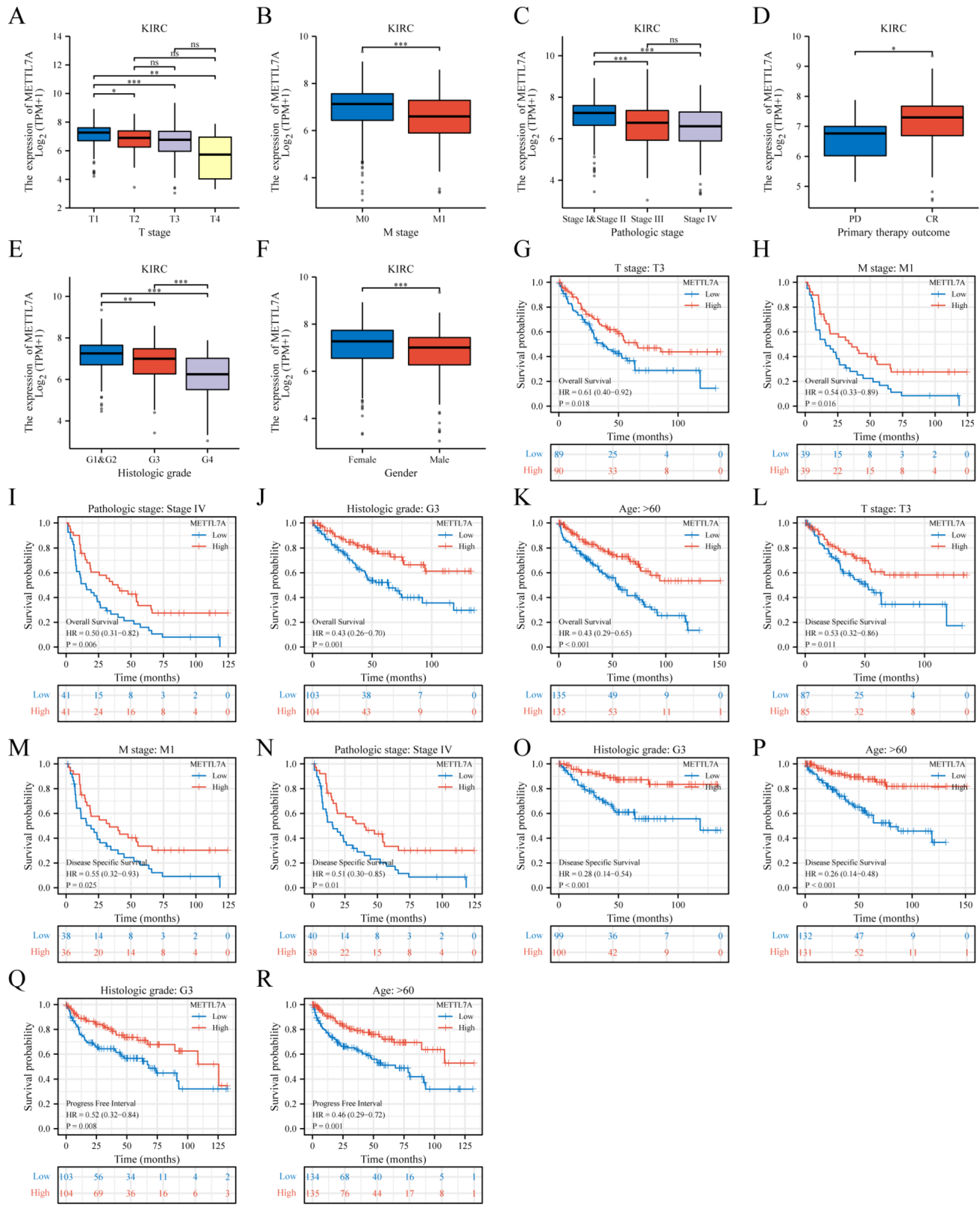 Biomolecules 13 00195 g006