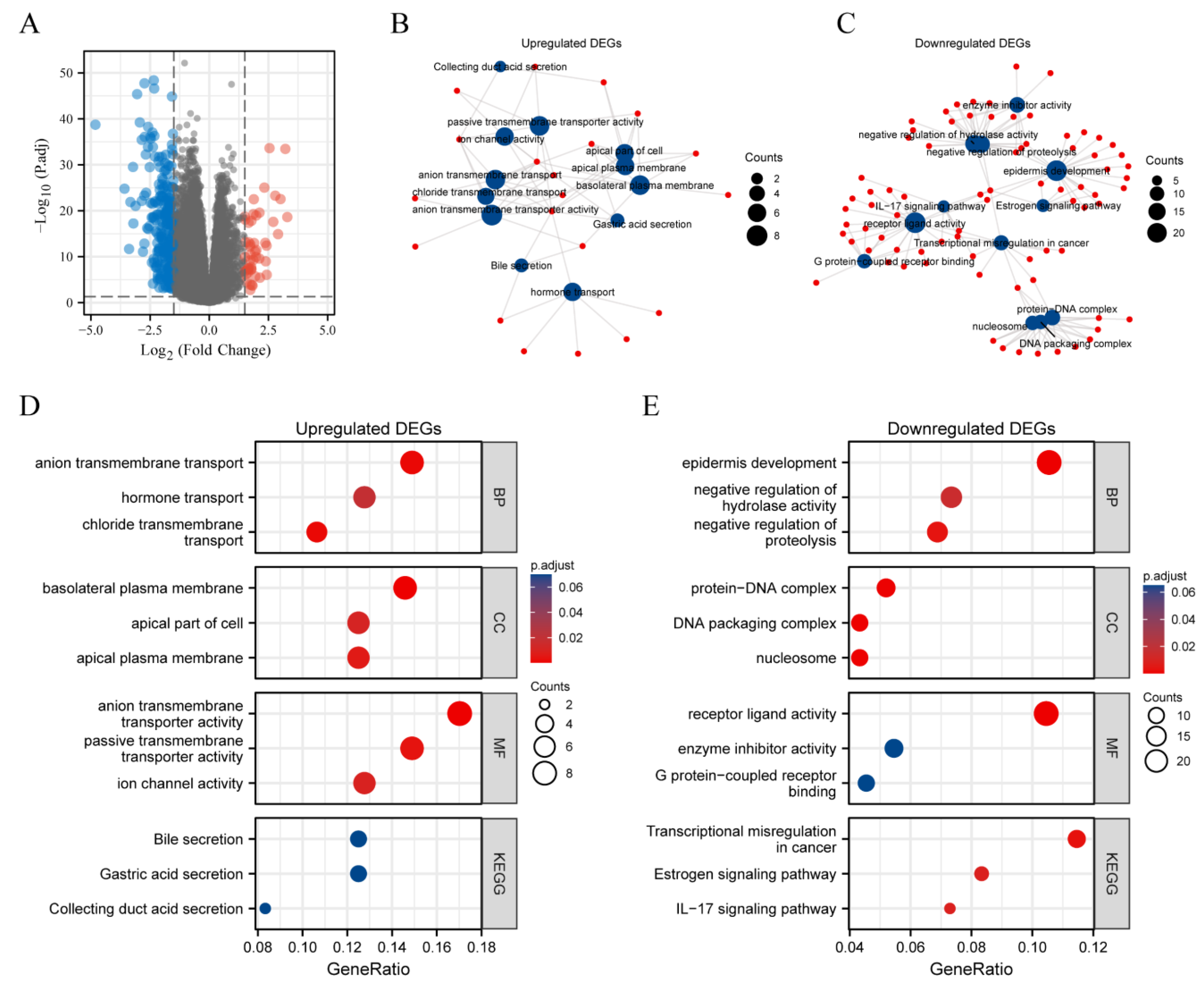 Biomolecules 13 00195 g008
