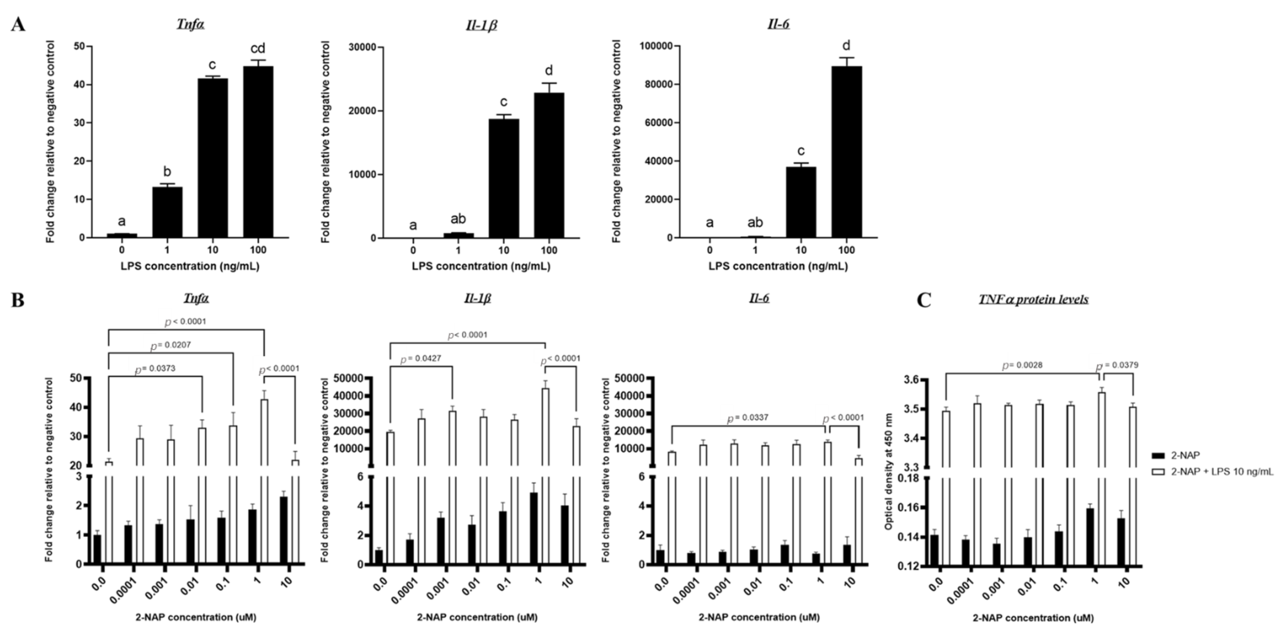 Biomolecules 13 00196 g001