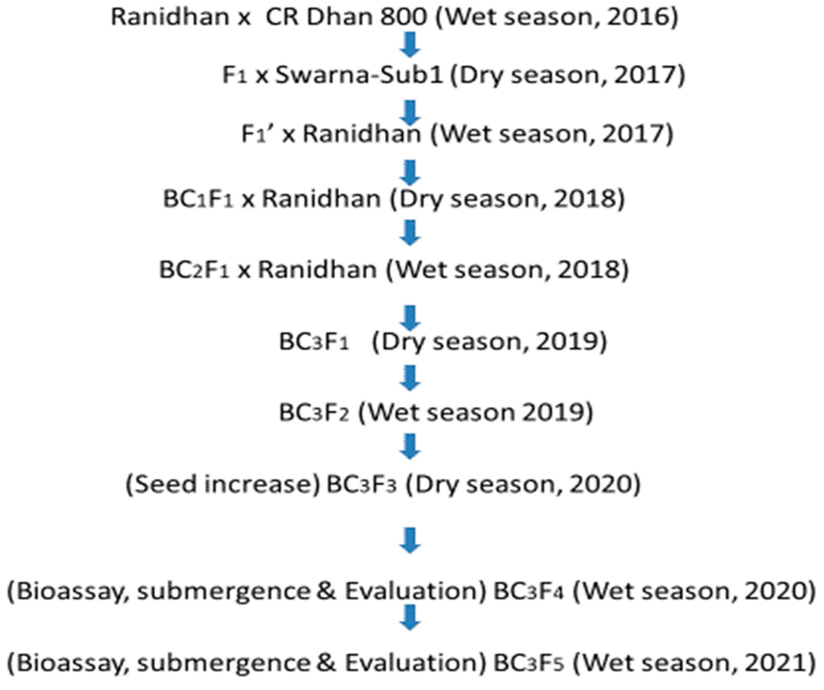 Biomolecules 13 00198 g001