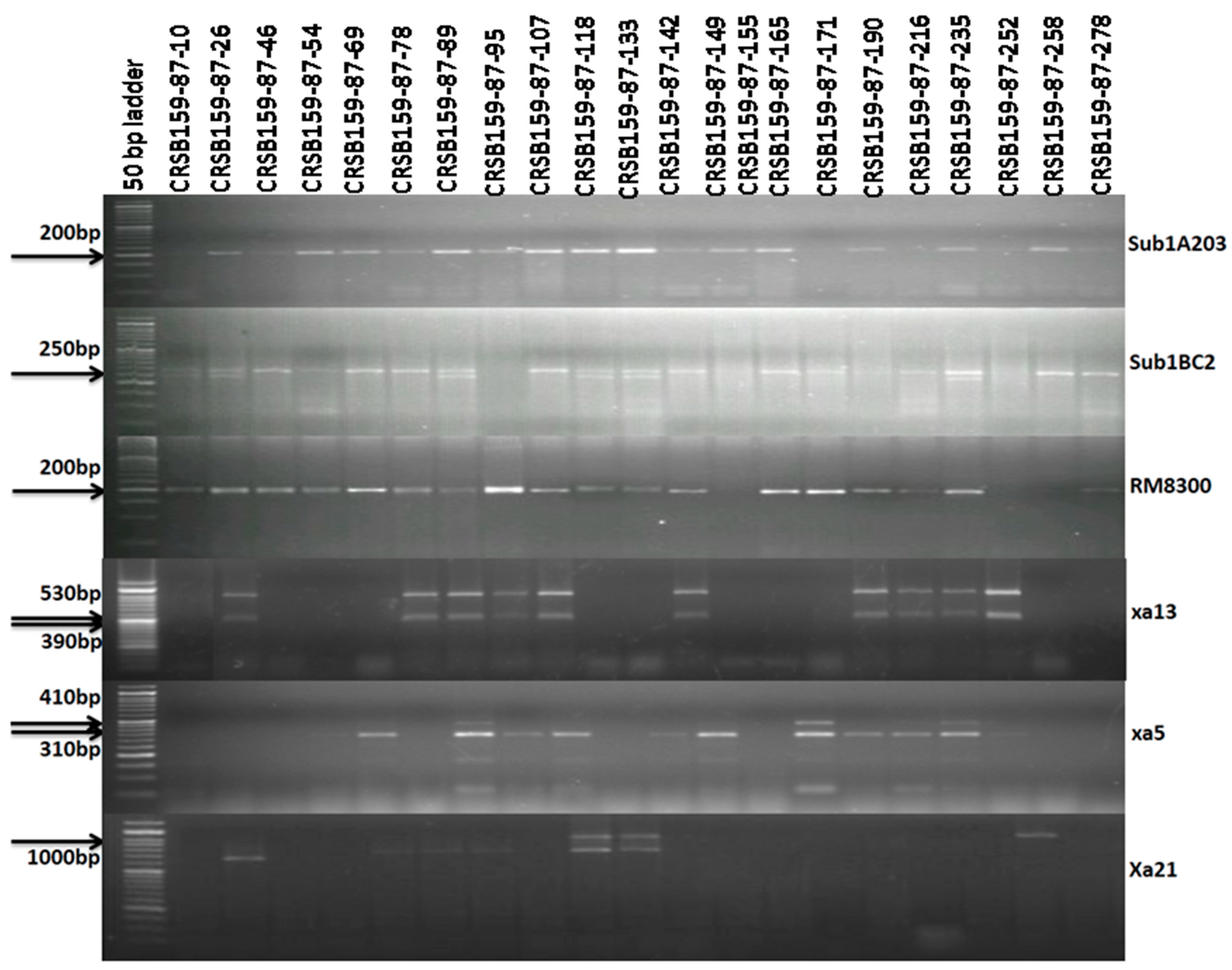Biomolecules 13 00198 g005
