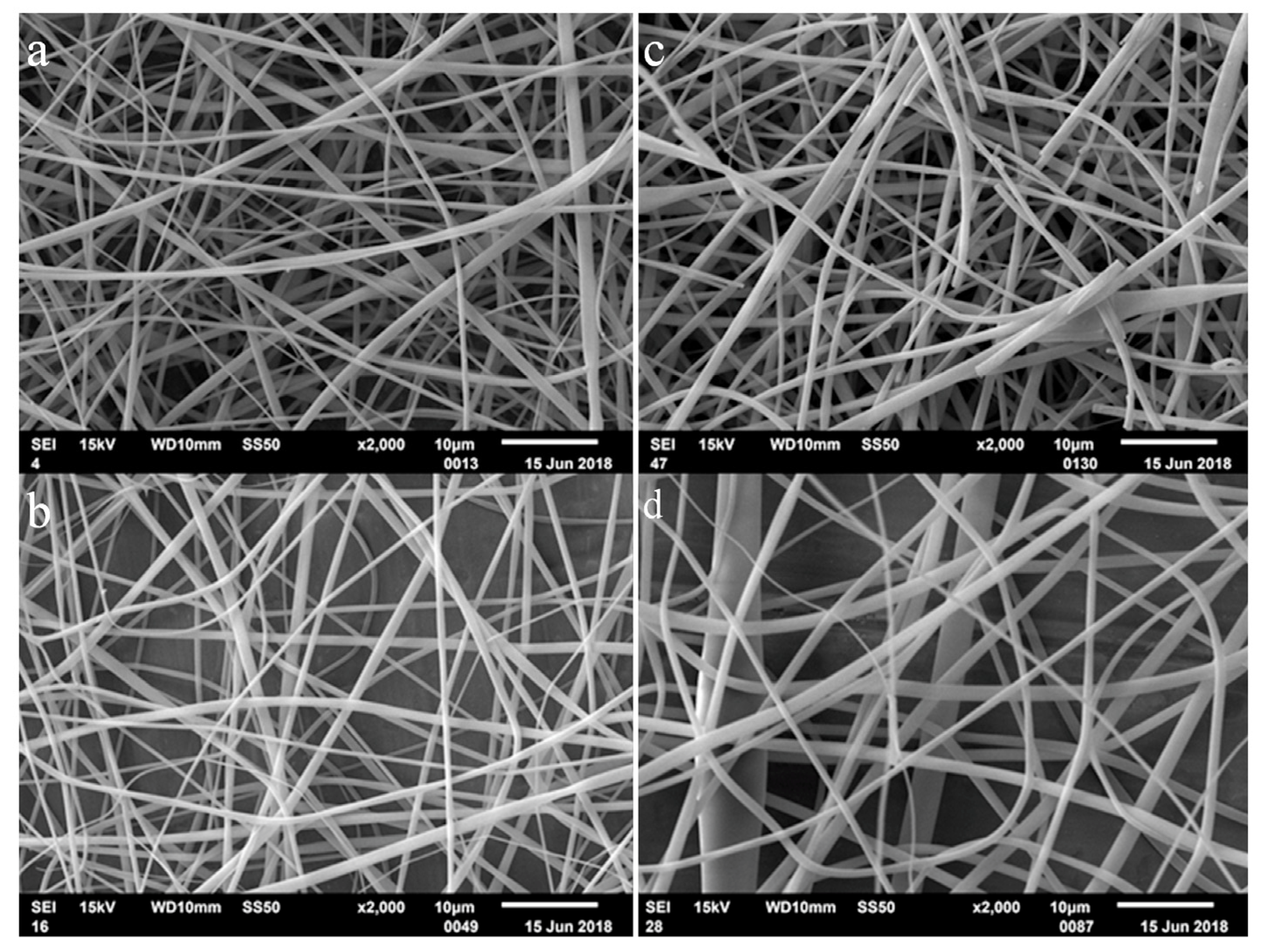 Biomolecules 13 00203 g003