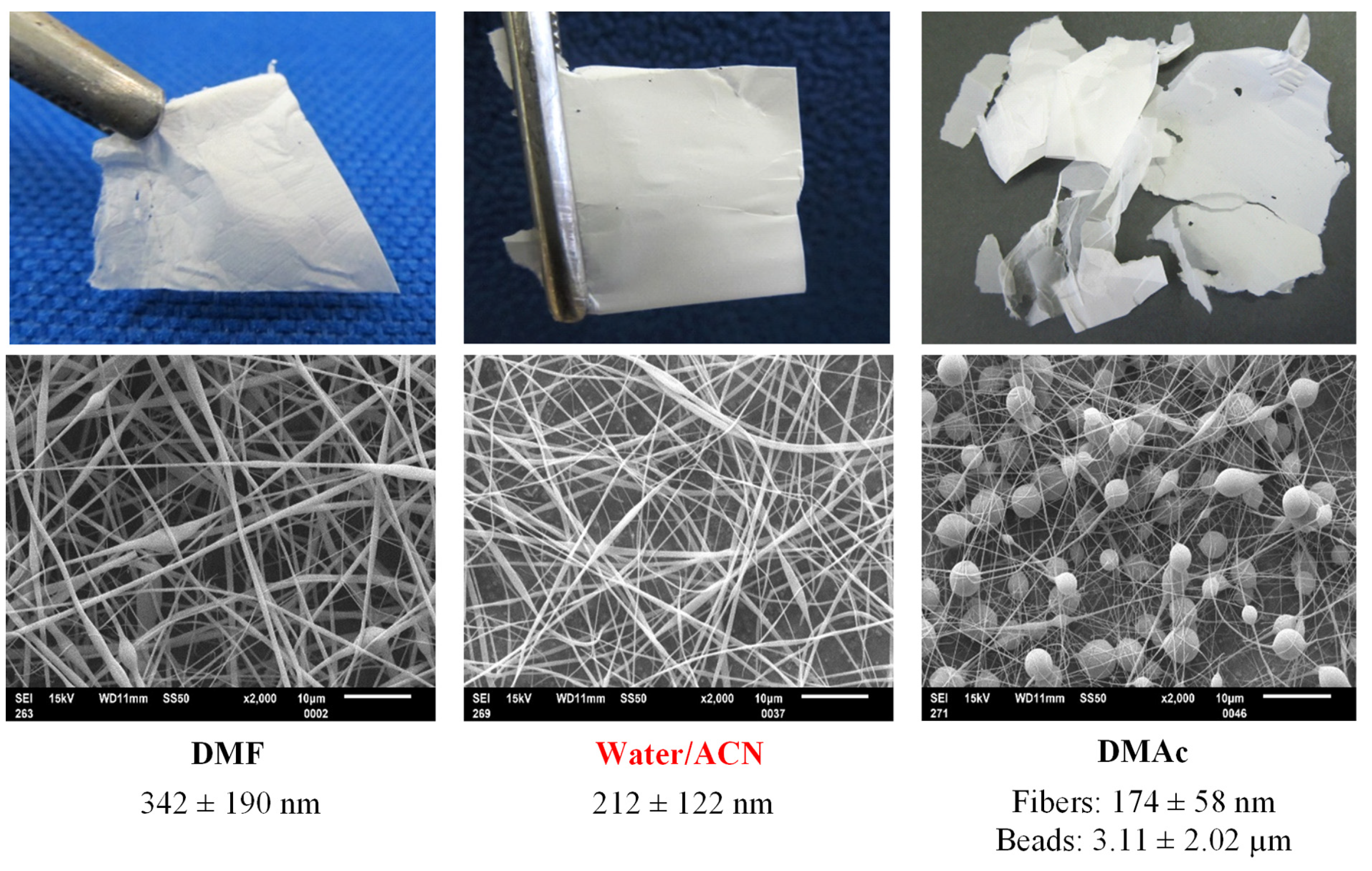 Biomolecules 13 00203 g004