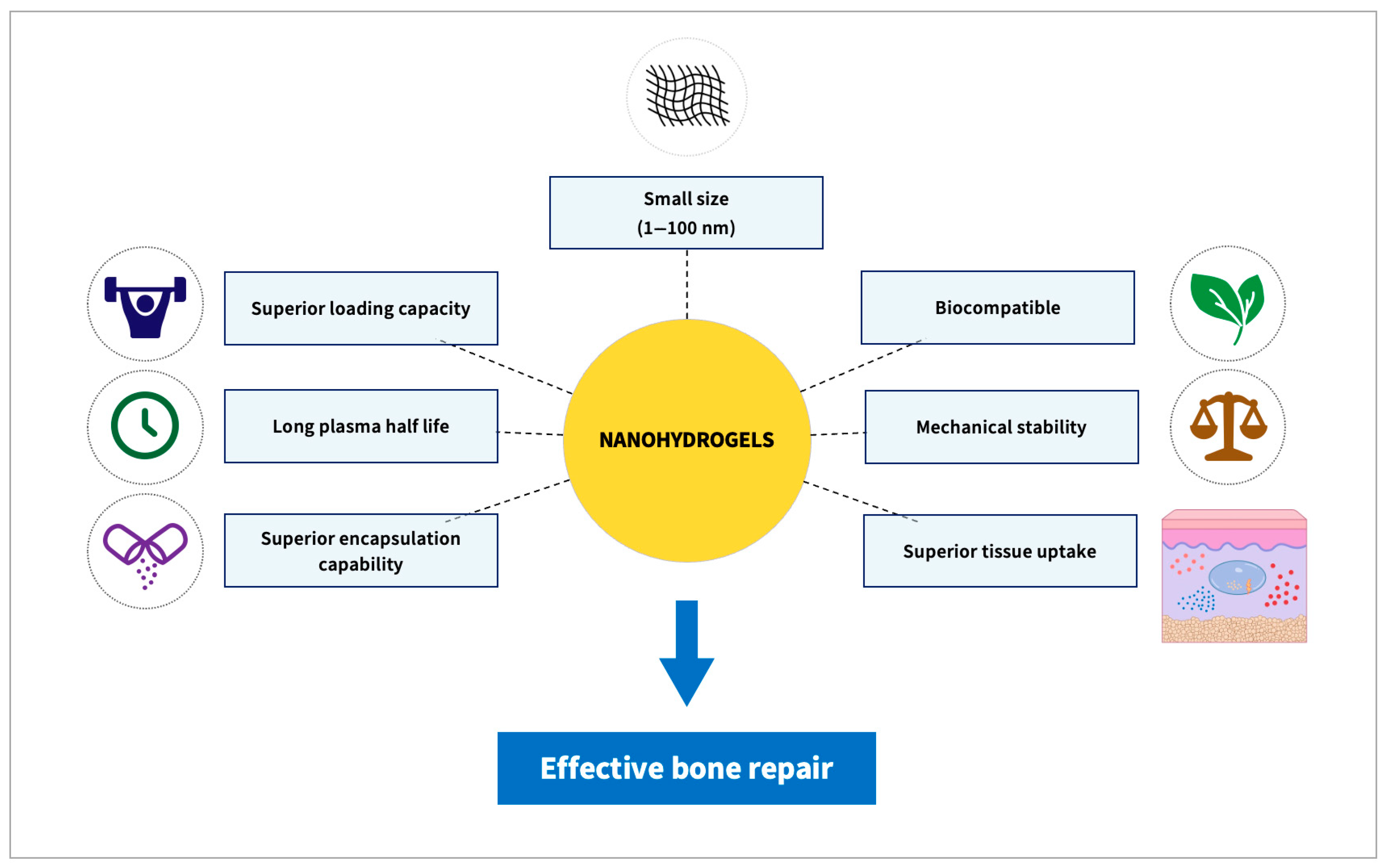 Biomolecules 13 00205 g002 Biomolecules 13 00205 g002