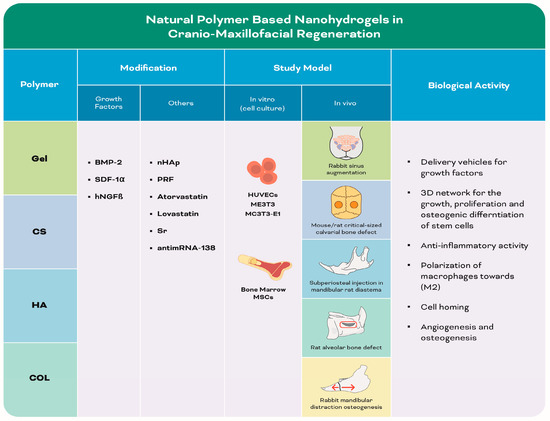 Biomolecules 13 00205 g004