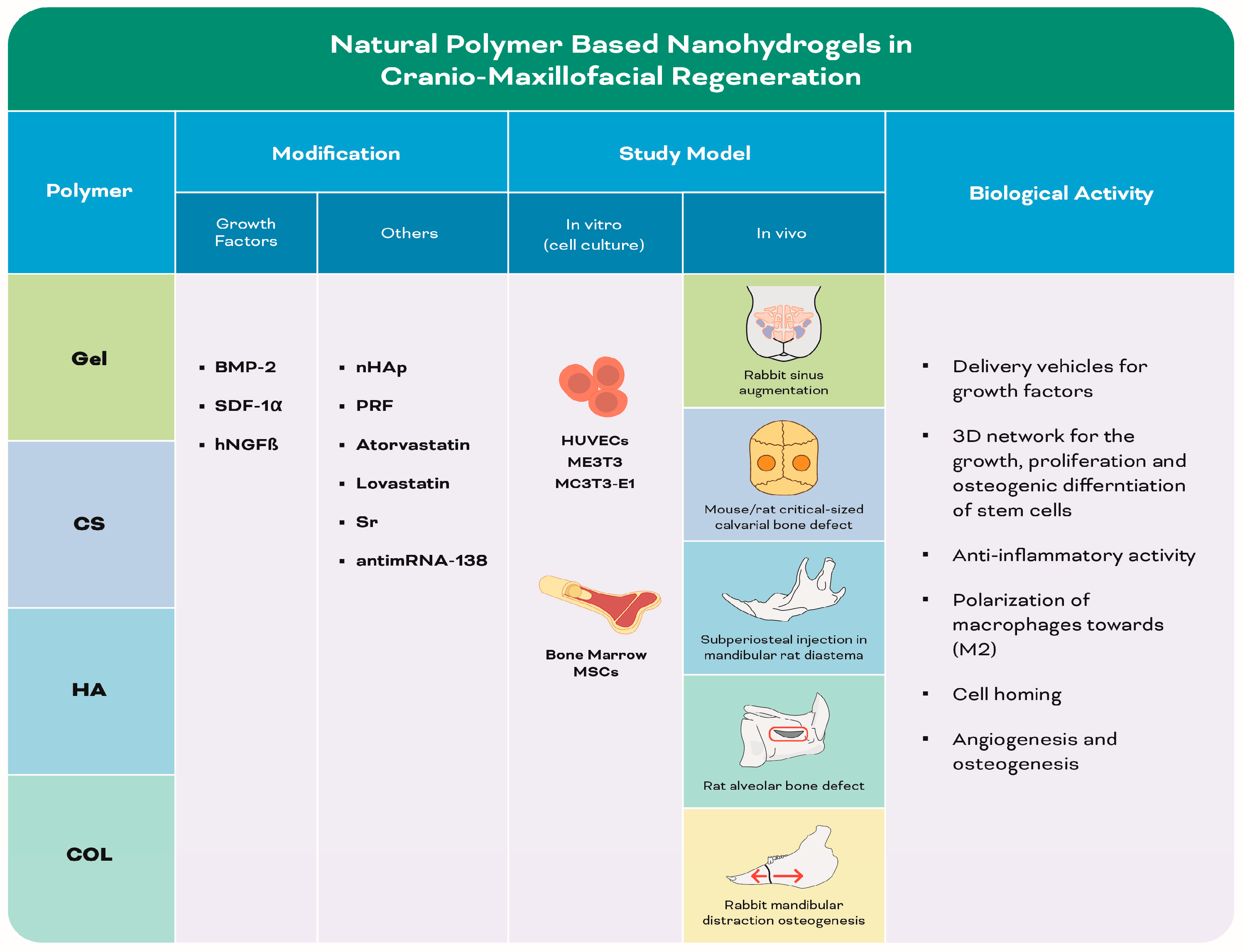 Biomolecules 13 00205 g004 Biomolecules 13 00205 g004
