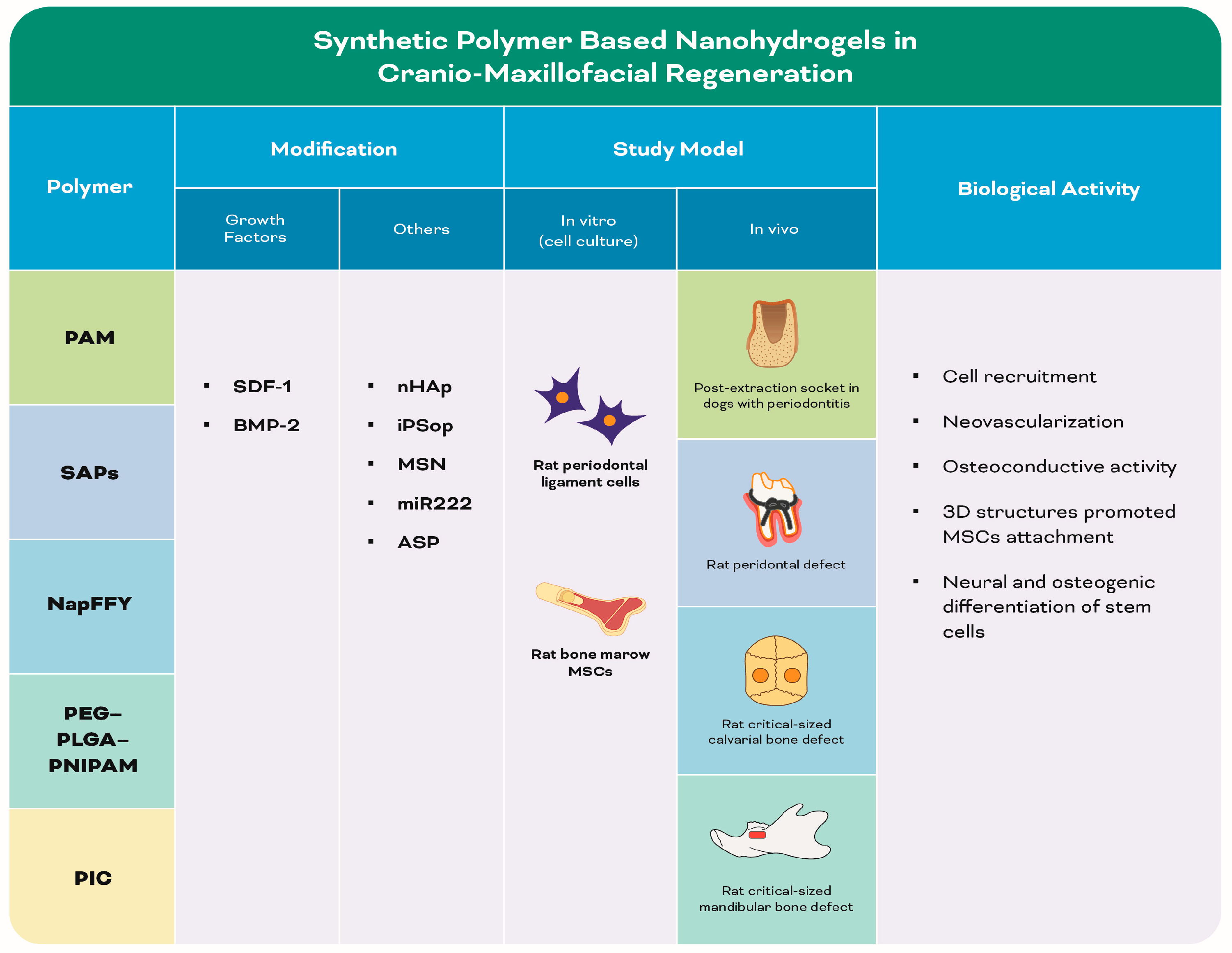 Biomolecules 13 00205 g005 Biomolecules 13 00205 g005