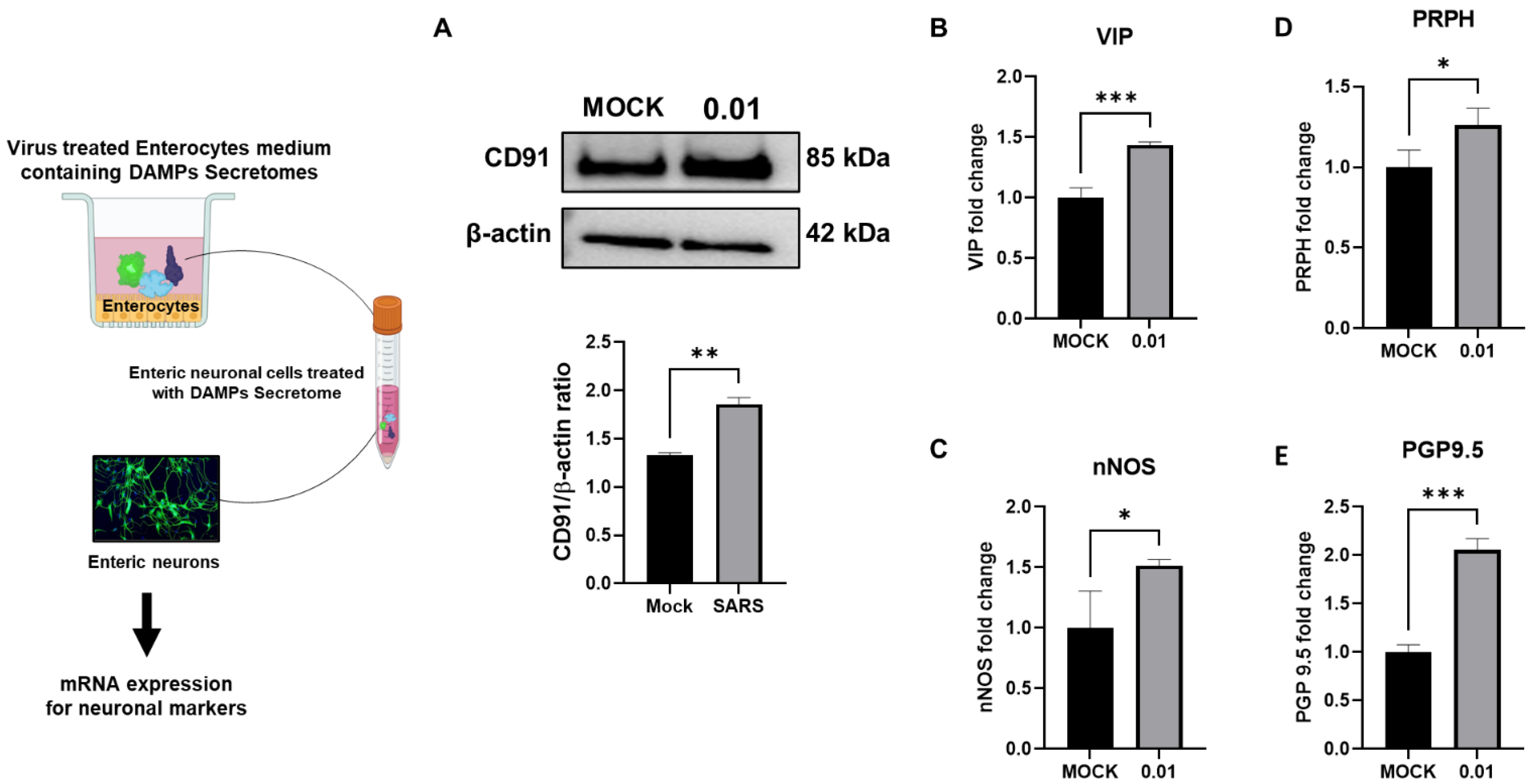 Biomolecules 13 00207 g003