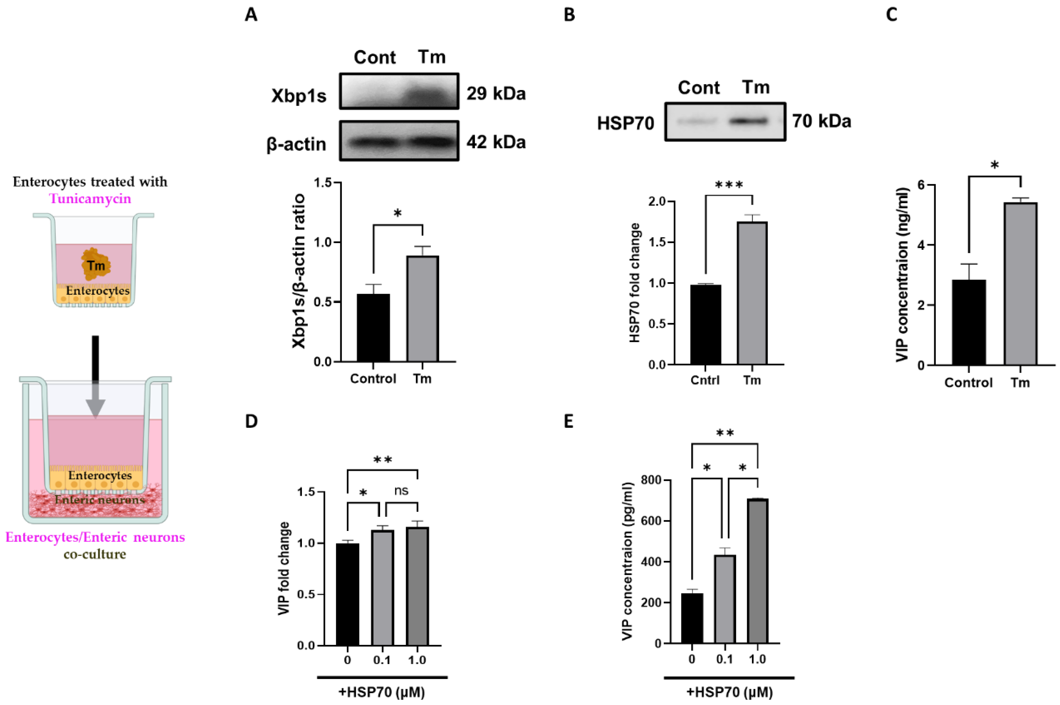 Biomolecules 13 00207 g004
