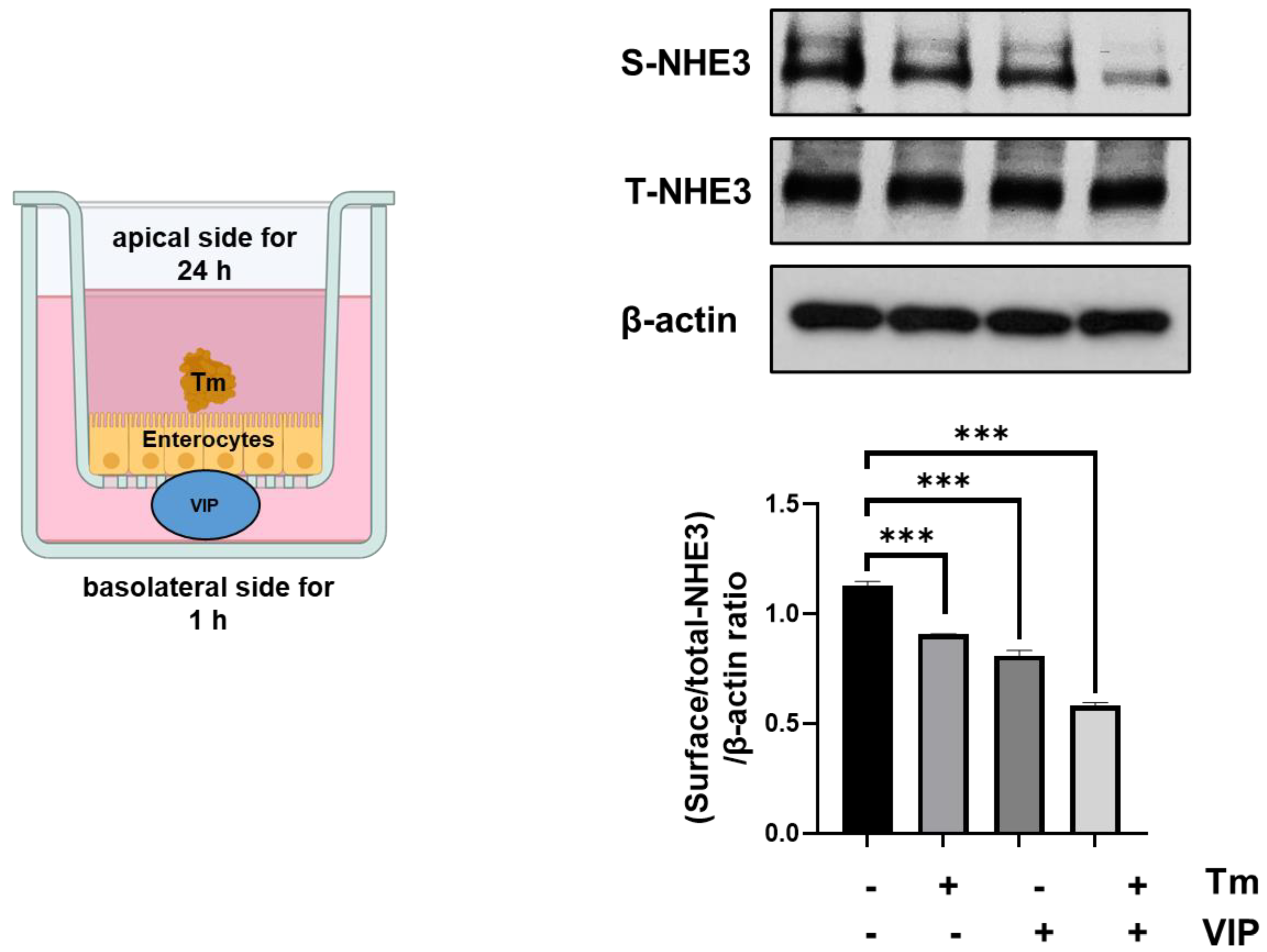 Biomolecules 13 00207 g005