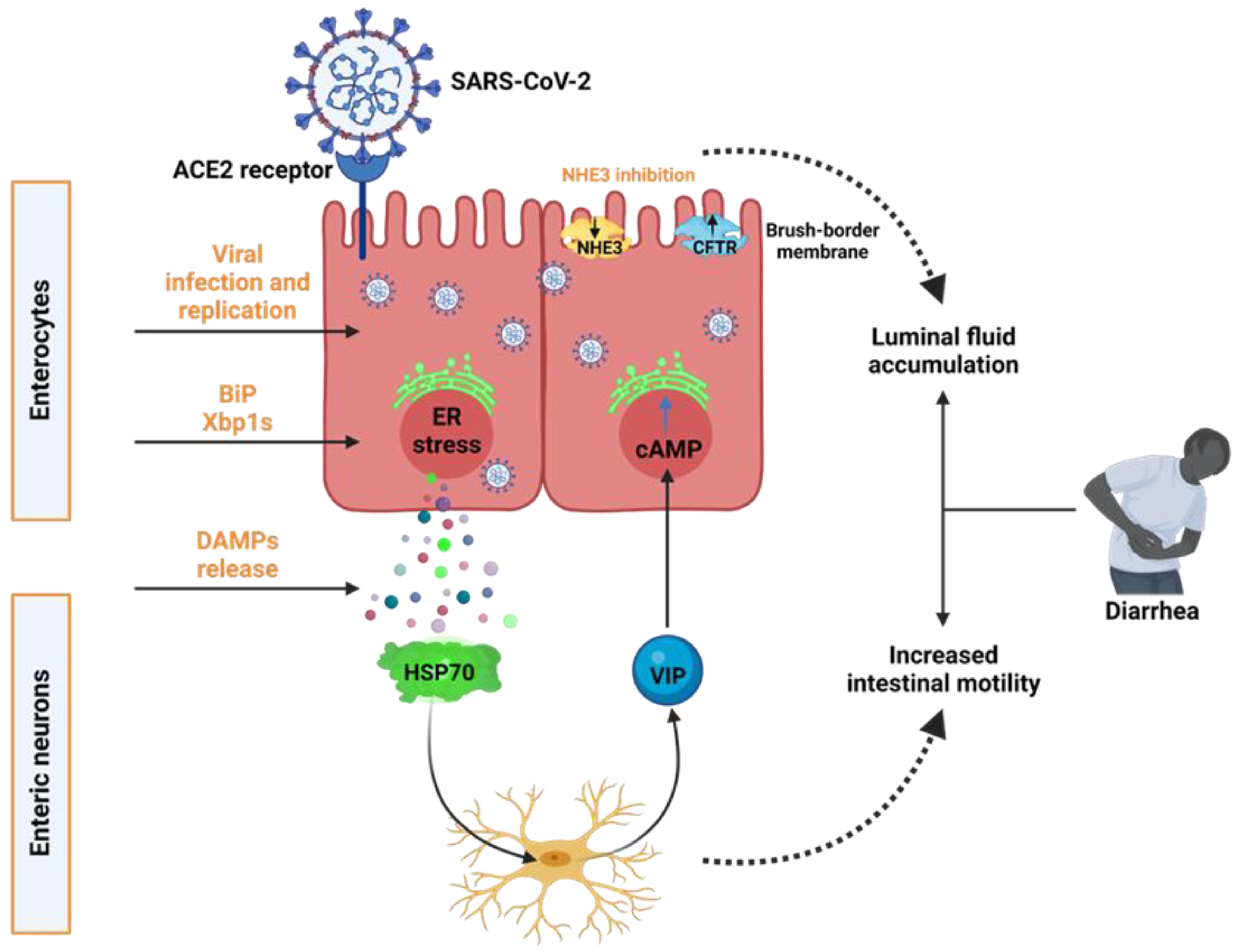 Biomolecules 13 00207 g006