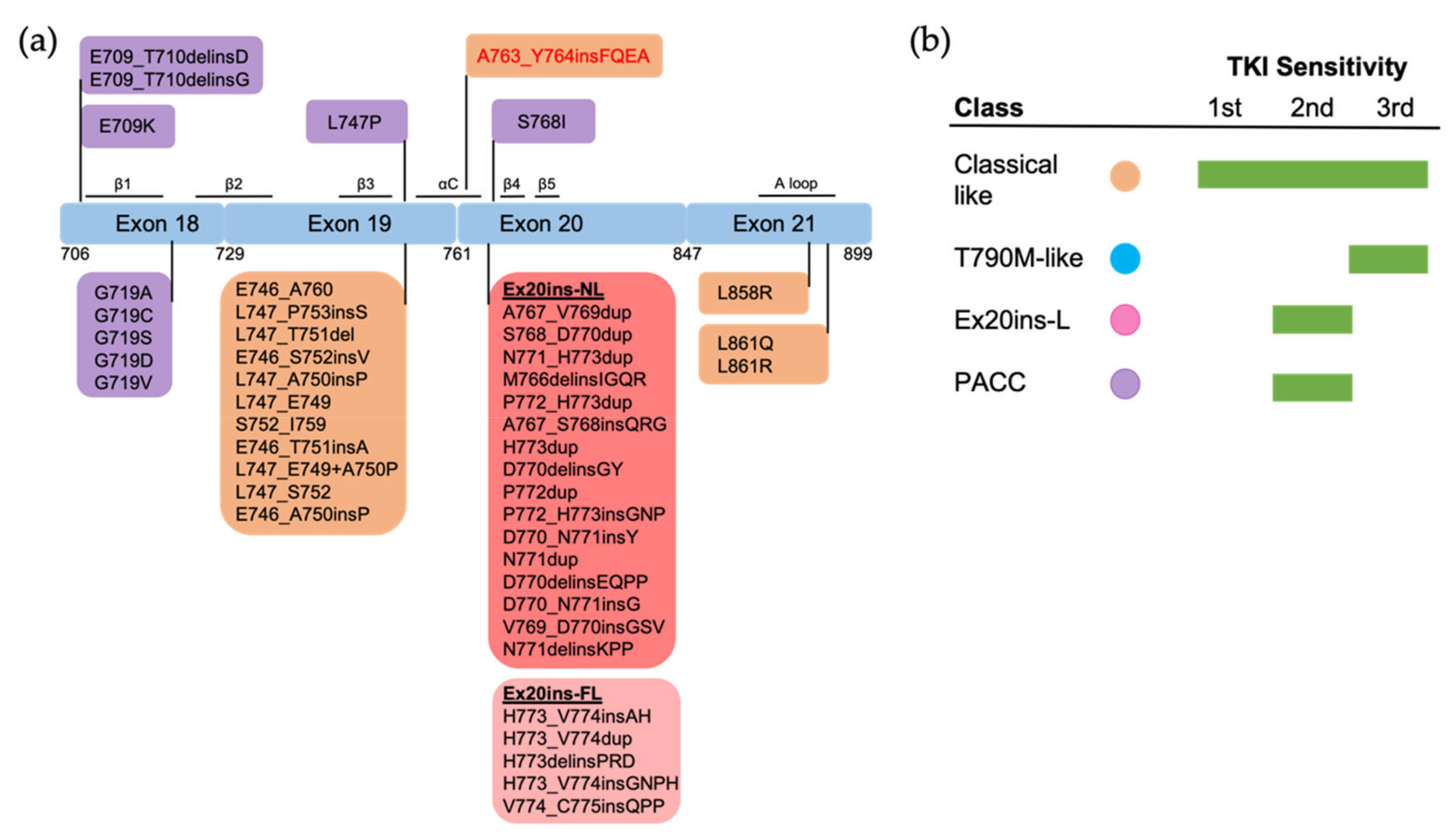 Biomolecules 13 00210 g004