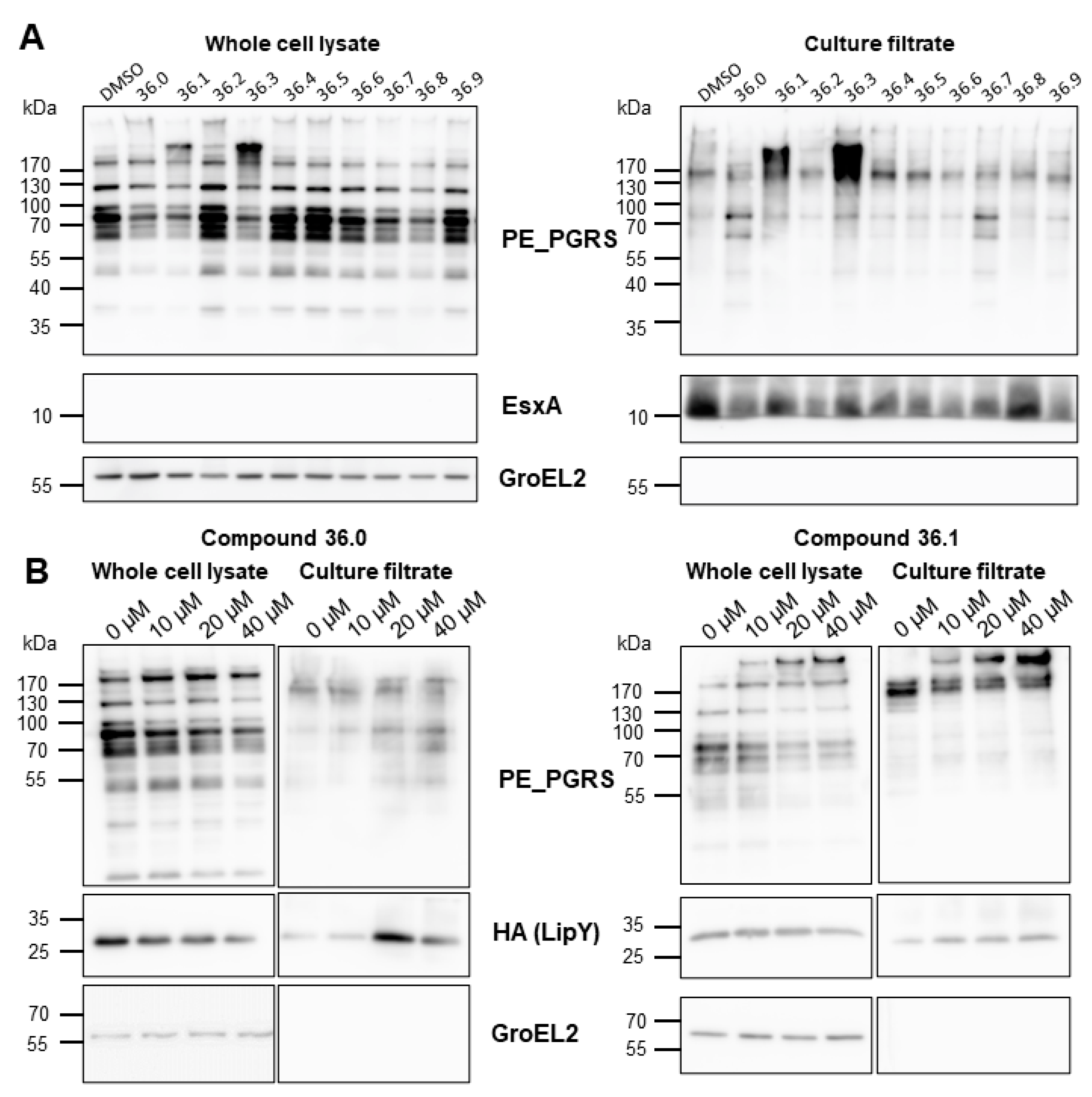 Biomolecules 13 00211 g003