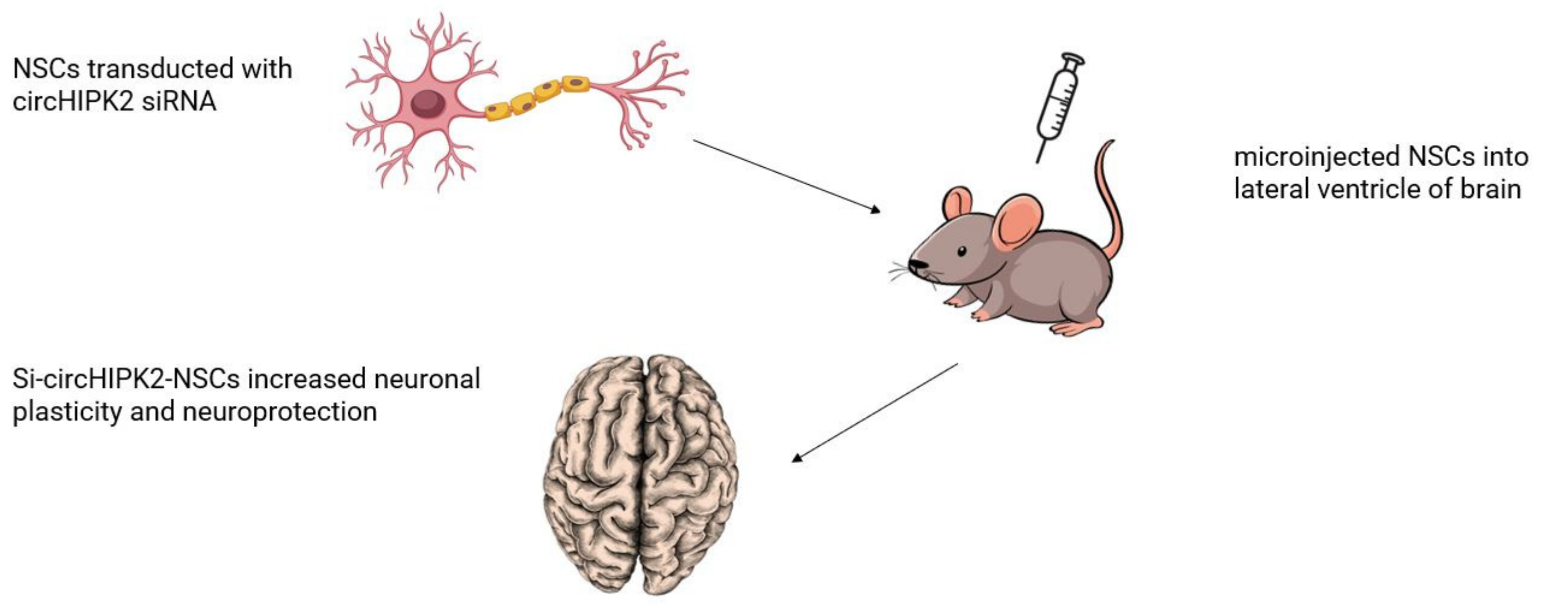 Biomolecules 13 00214 g002 Biomolecules 13 00214 g002