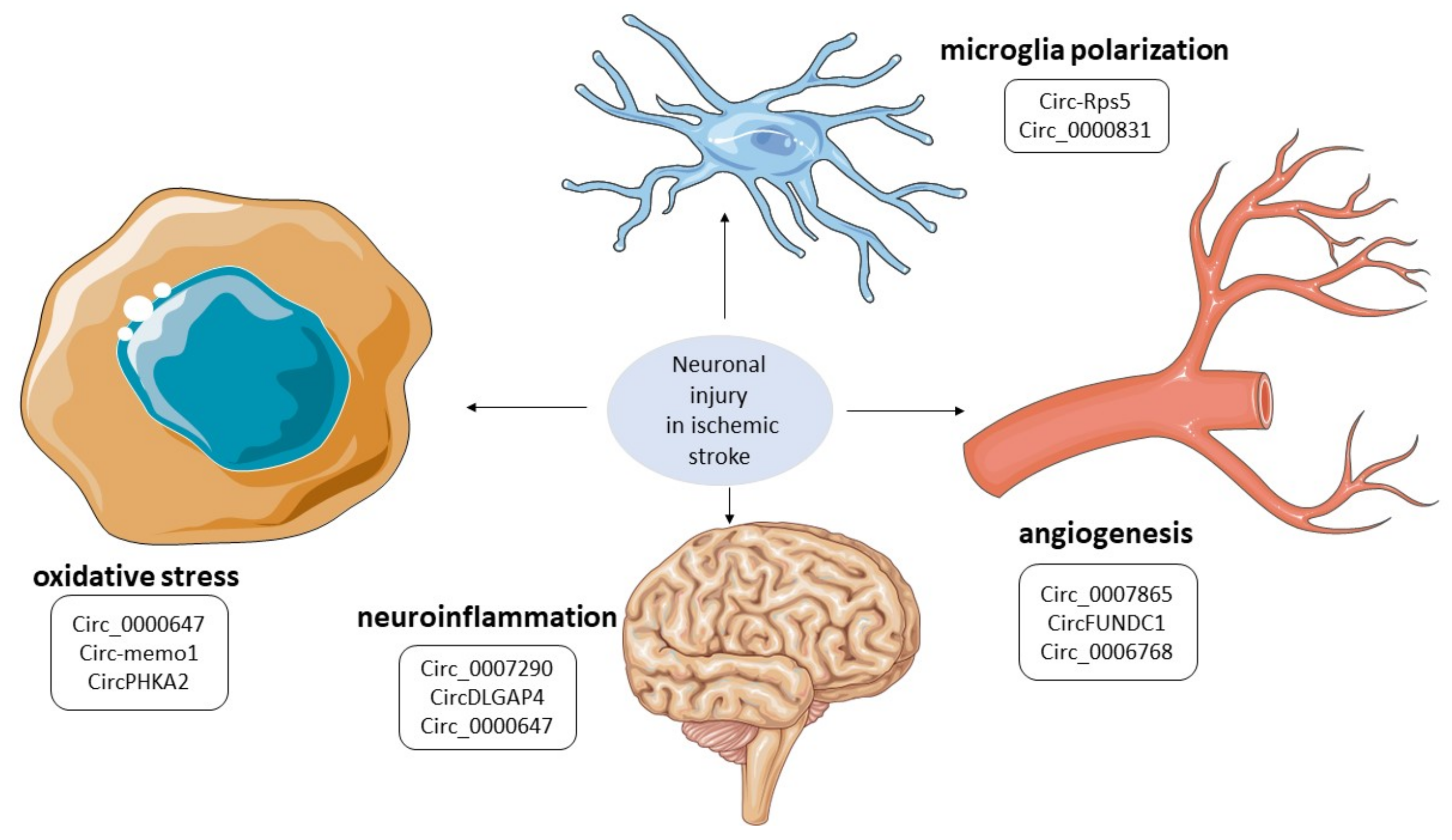 Biomolecules 13 00214 g004 Biomolecules 13 00214 g004