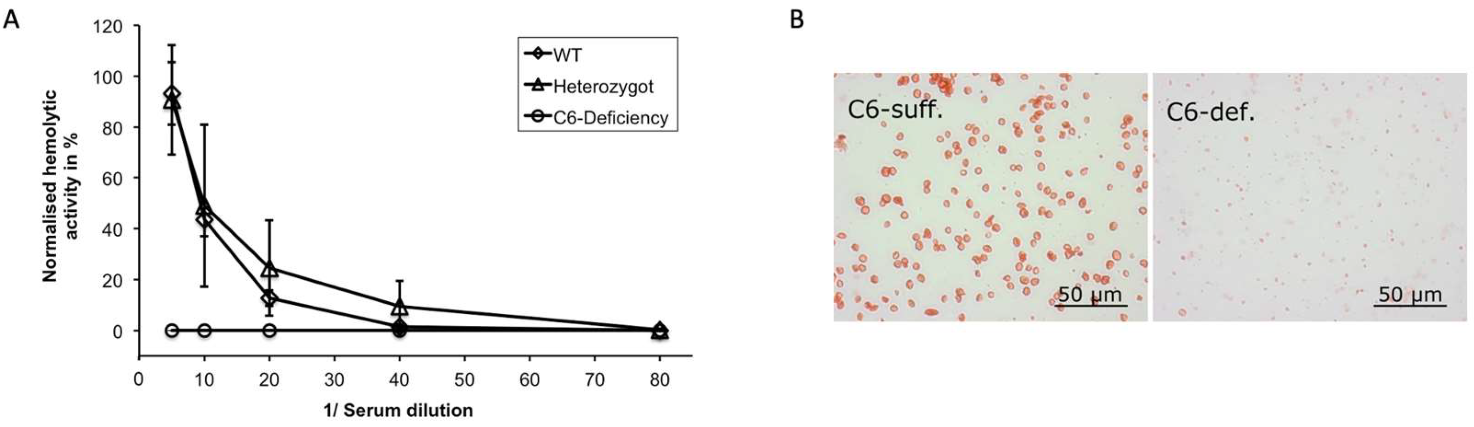 Biomolecules 13 00216 g002