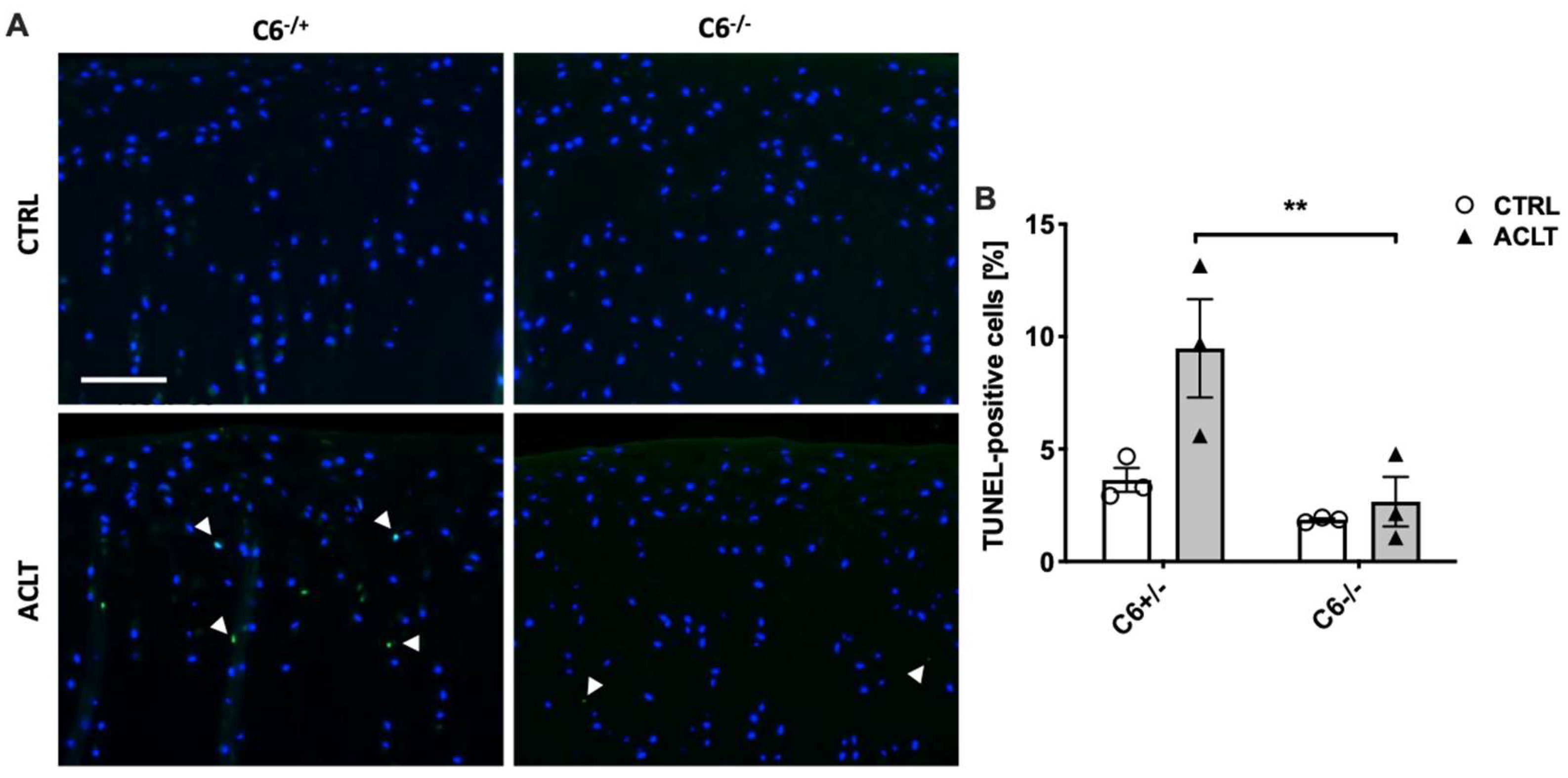 Biomolecules 13 00216 g004
