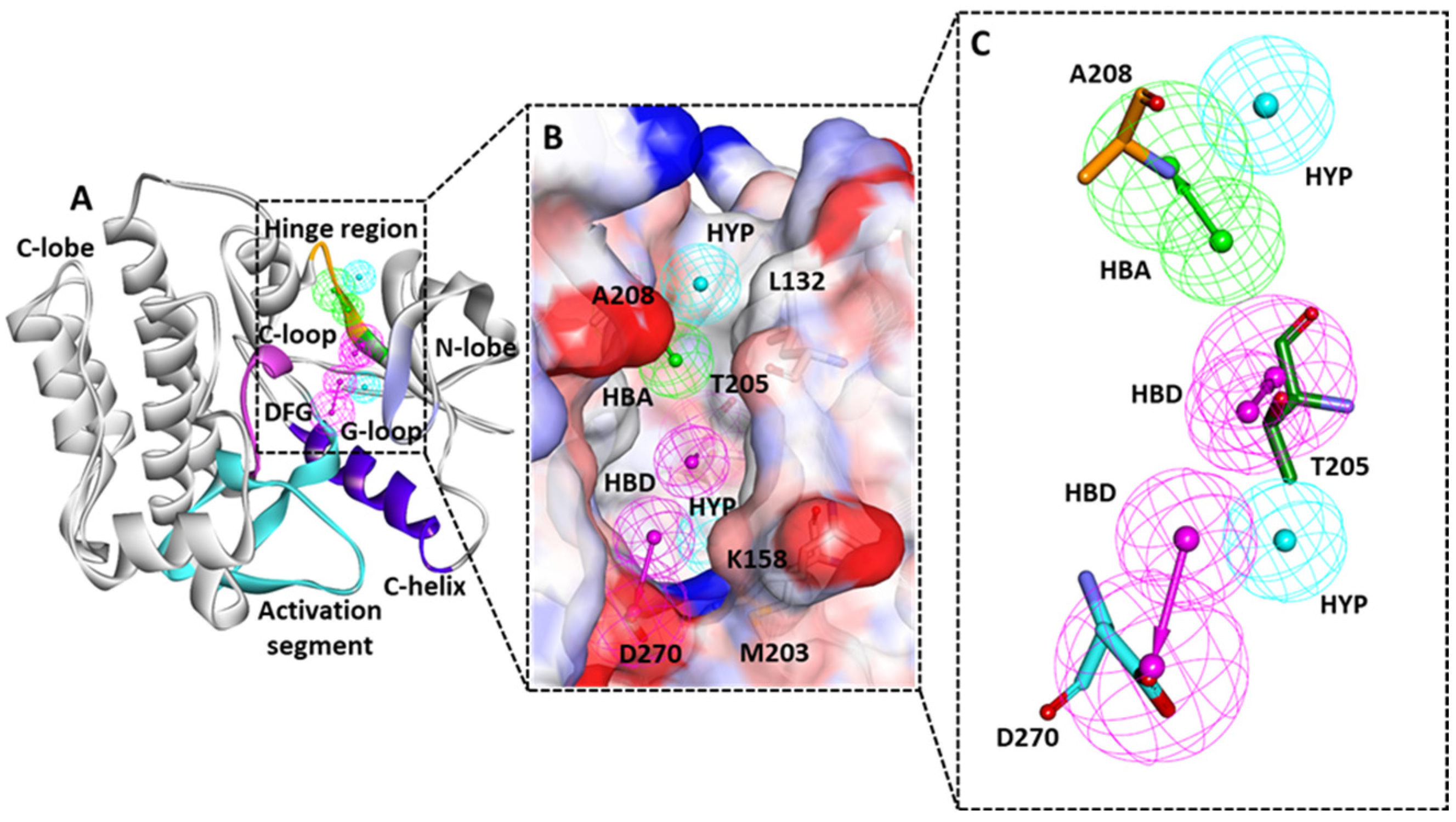 Biomolecules 13 00217 g004 Biomolecules 13 00217 g004