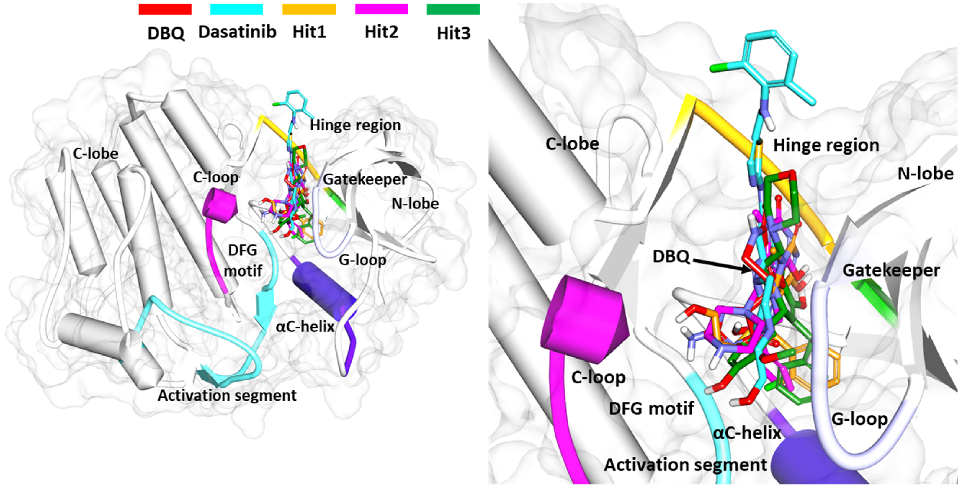 Biomolecules 13 00217 g006 Biomolecules 13 00217 g006