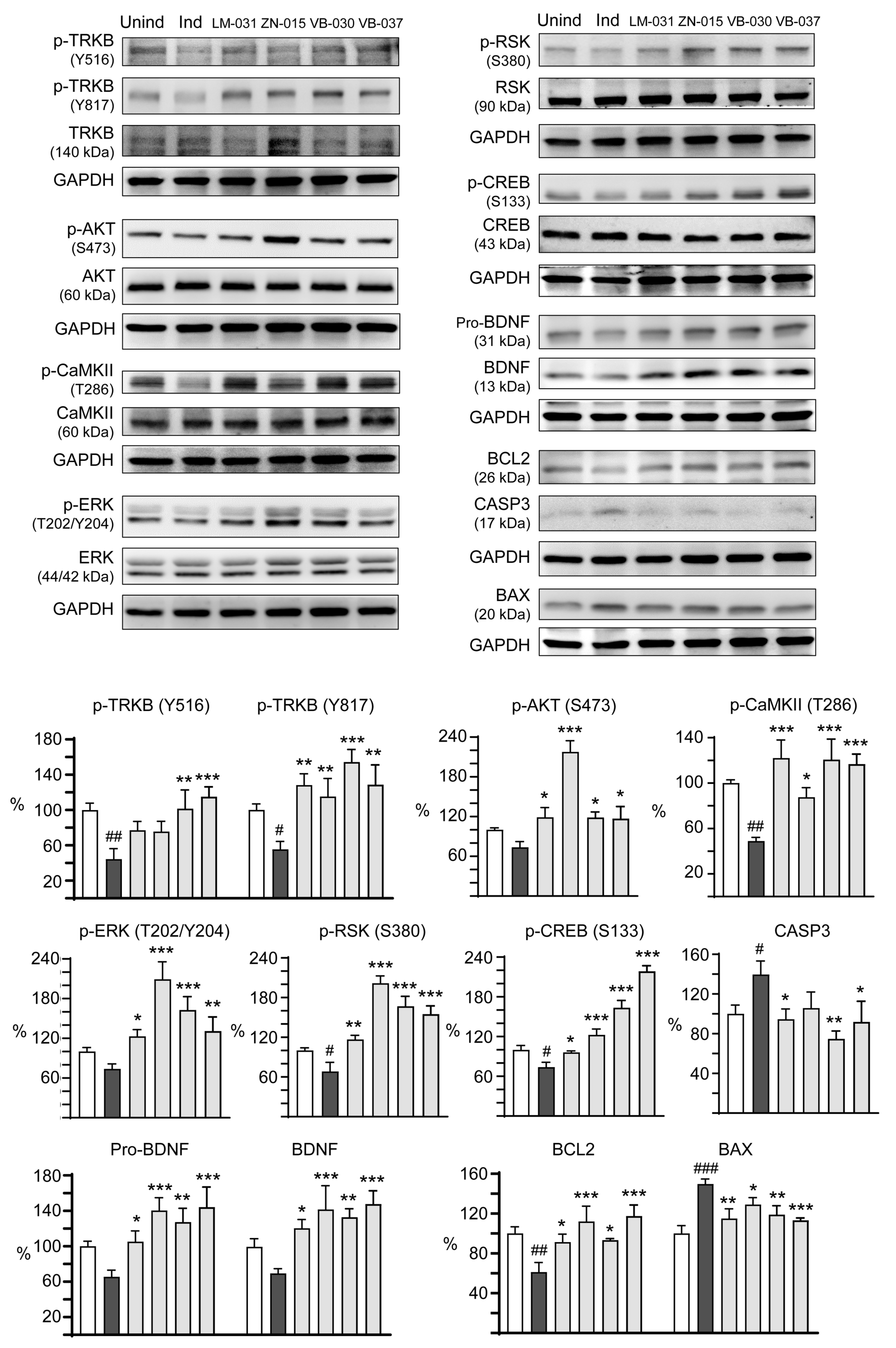 Biomolecules 13 00219 g005