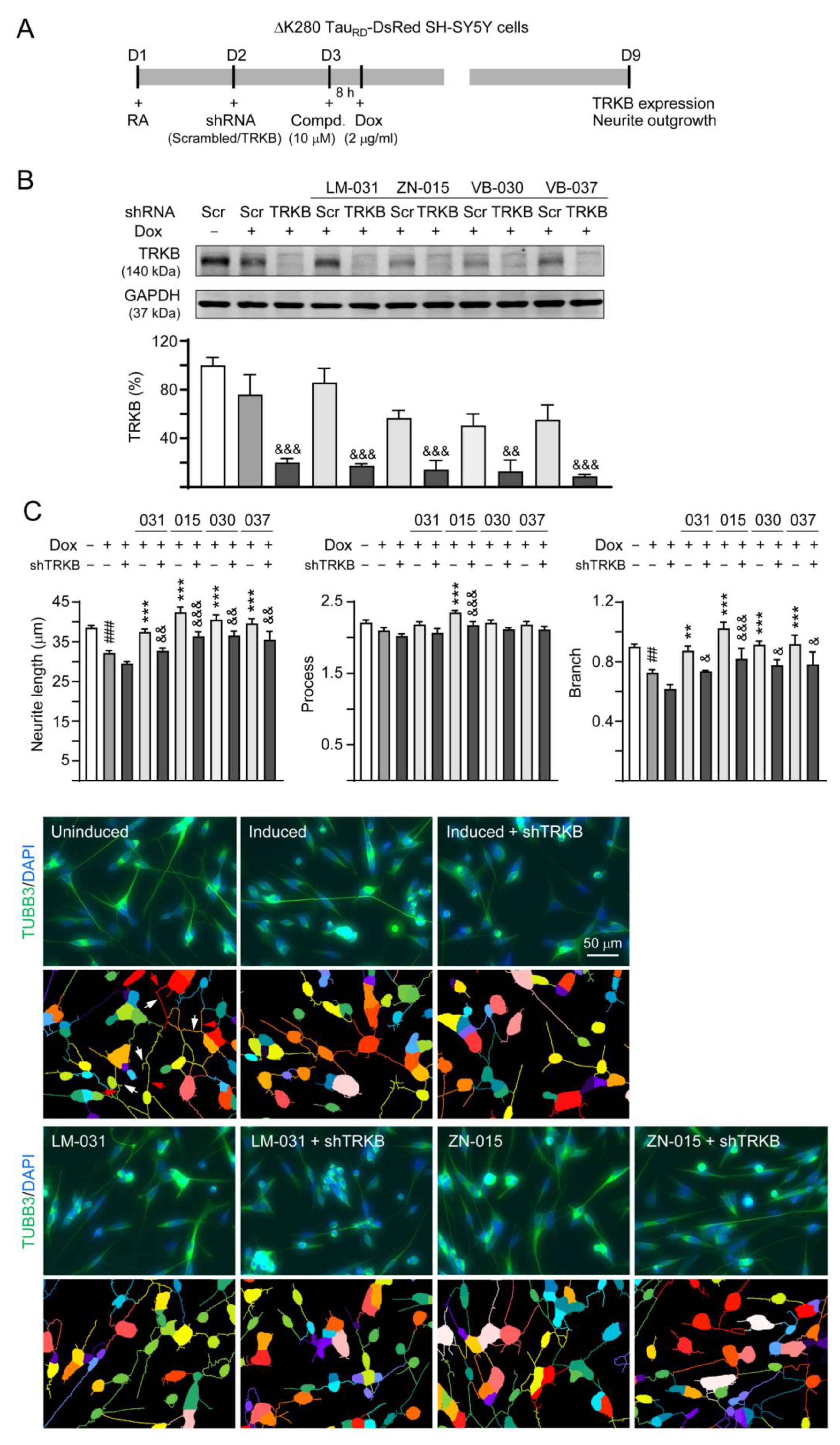 Biomolecules 13 00219 g006a