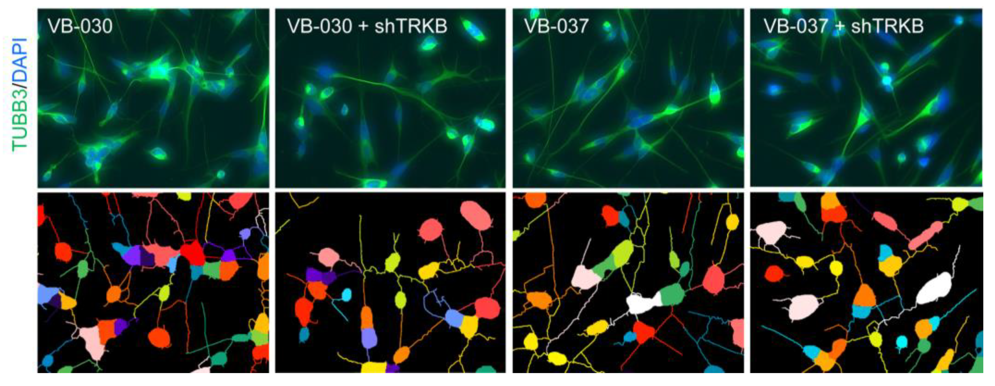 Biomolecules 13 00219 g006b