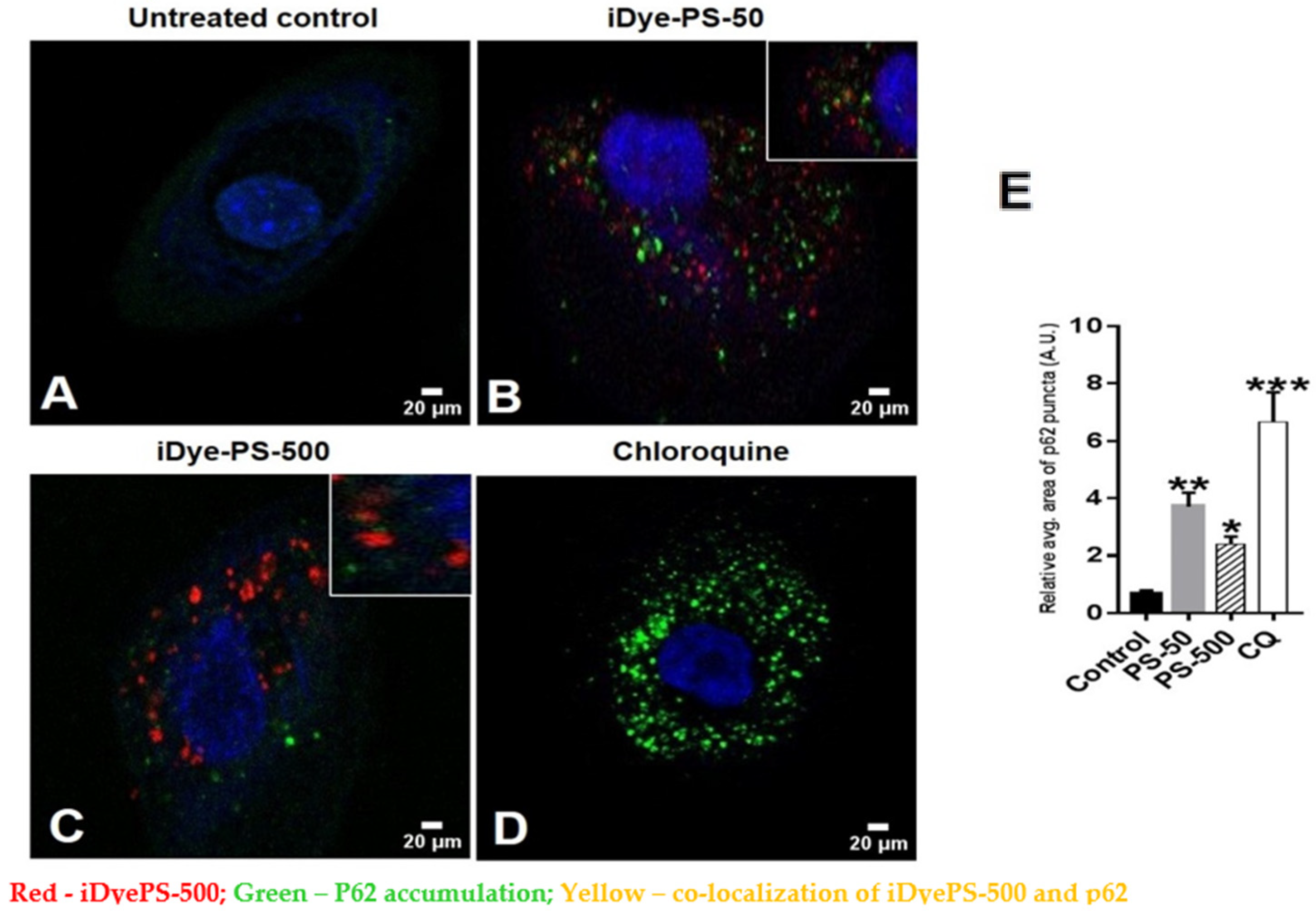 Biomolecules 13 00220 g008