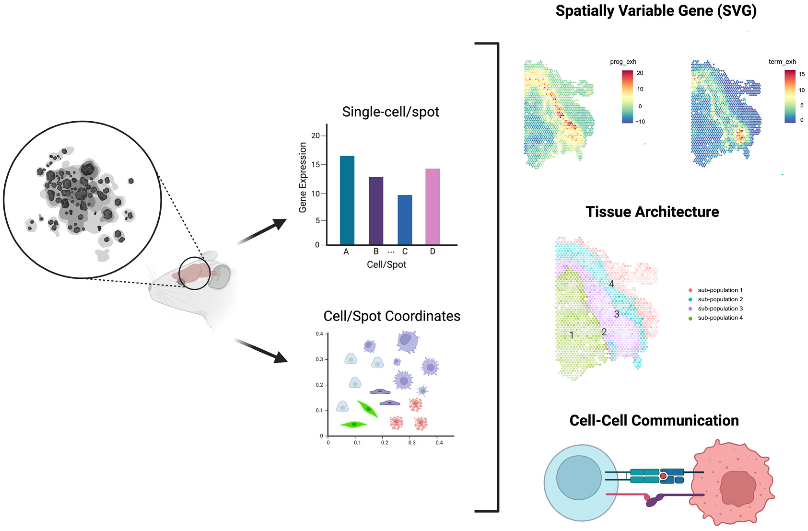 Biomolecules 13 00221 g002