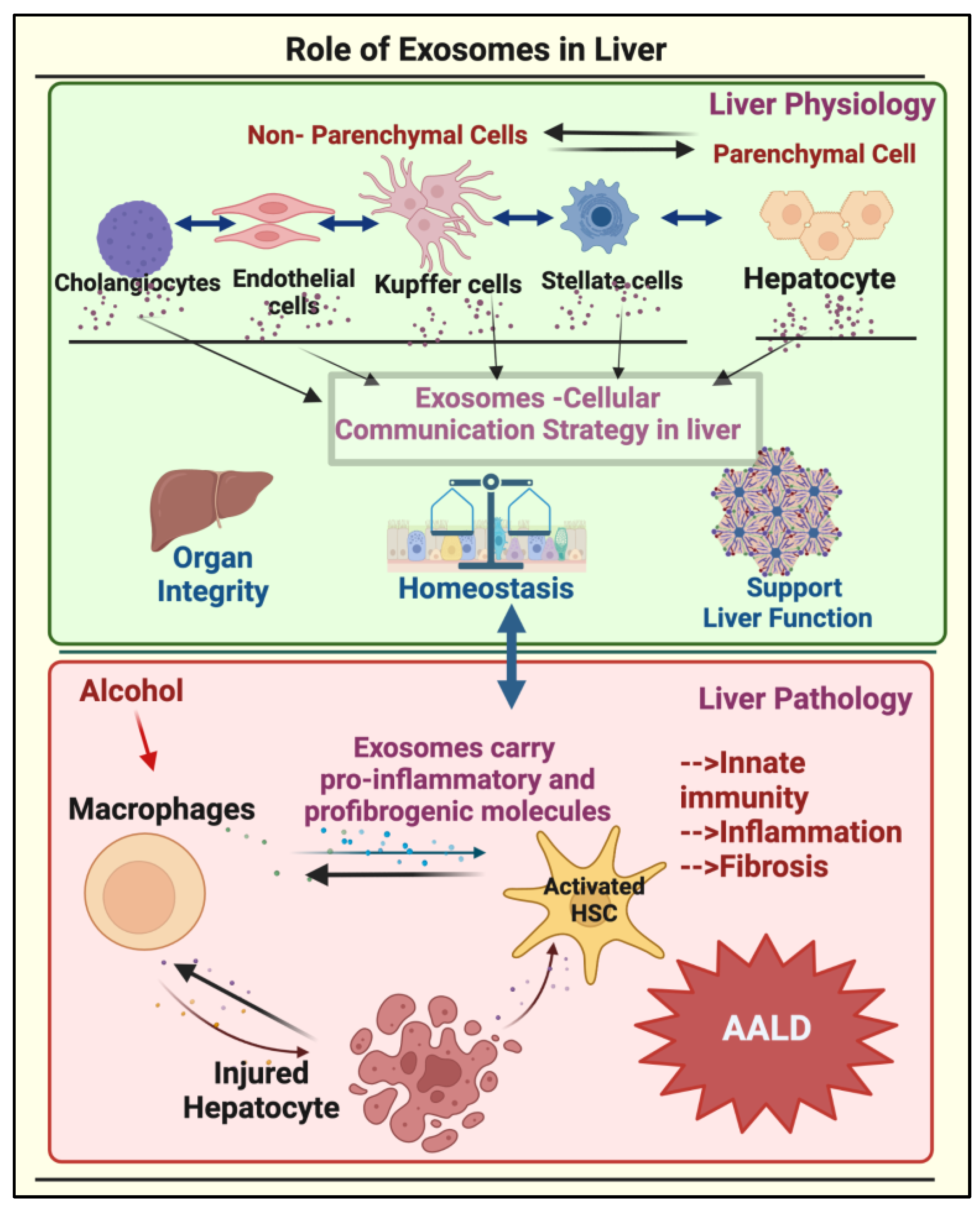 Biomolecules 13 00222 g001