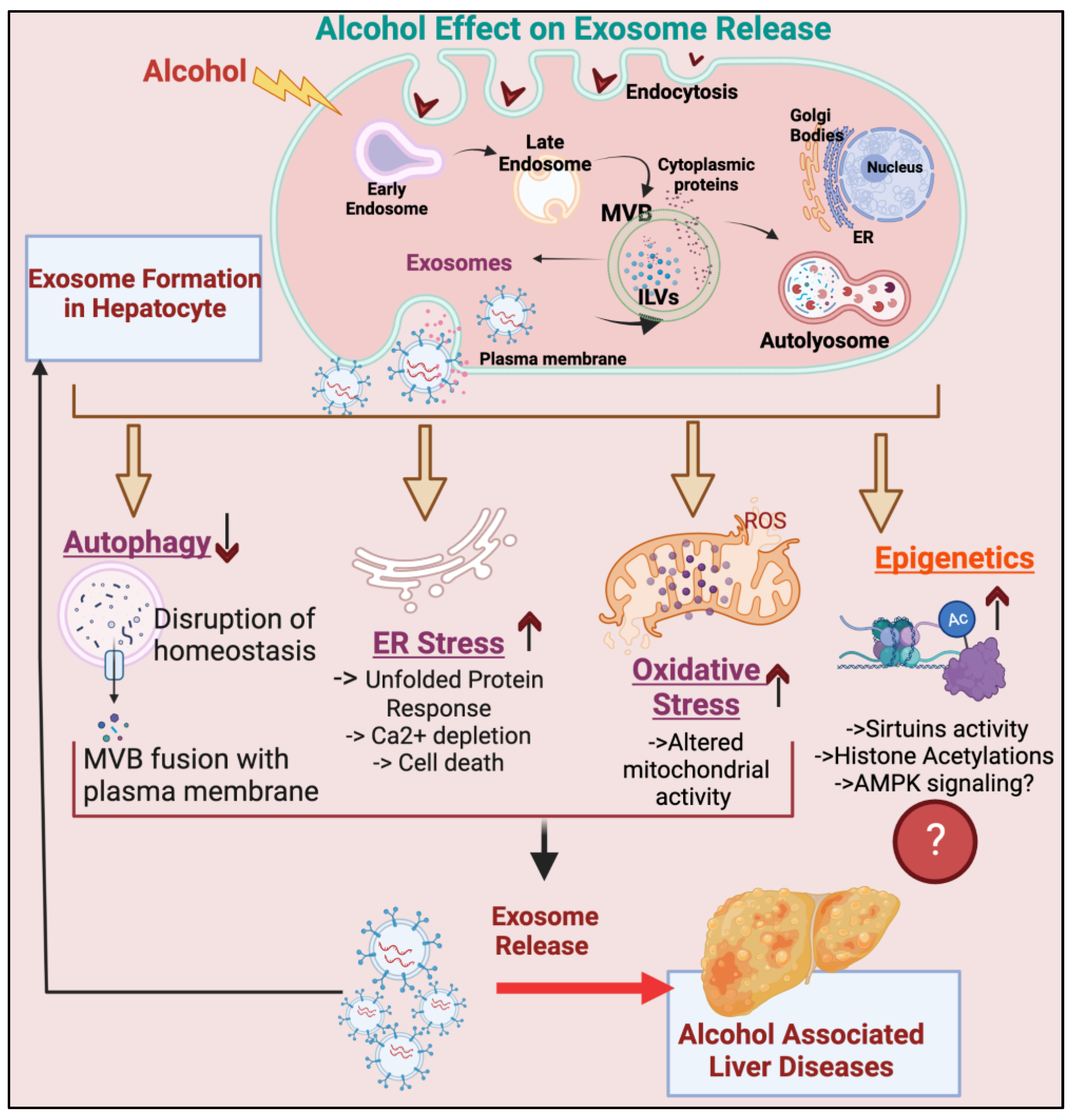 Biomolecules 13 00222 g002