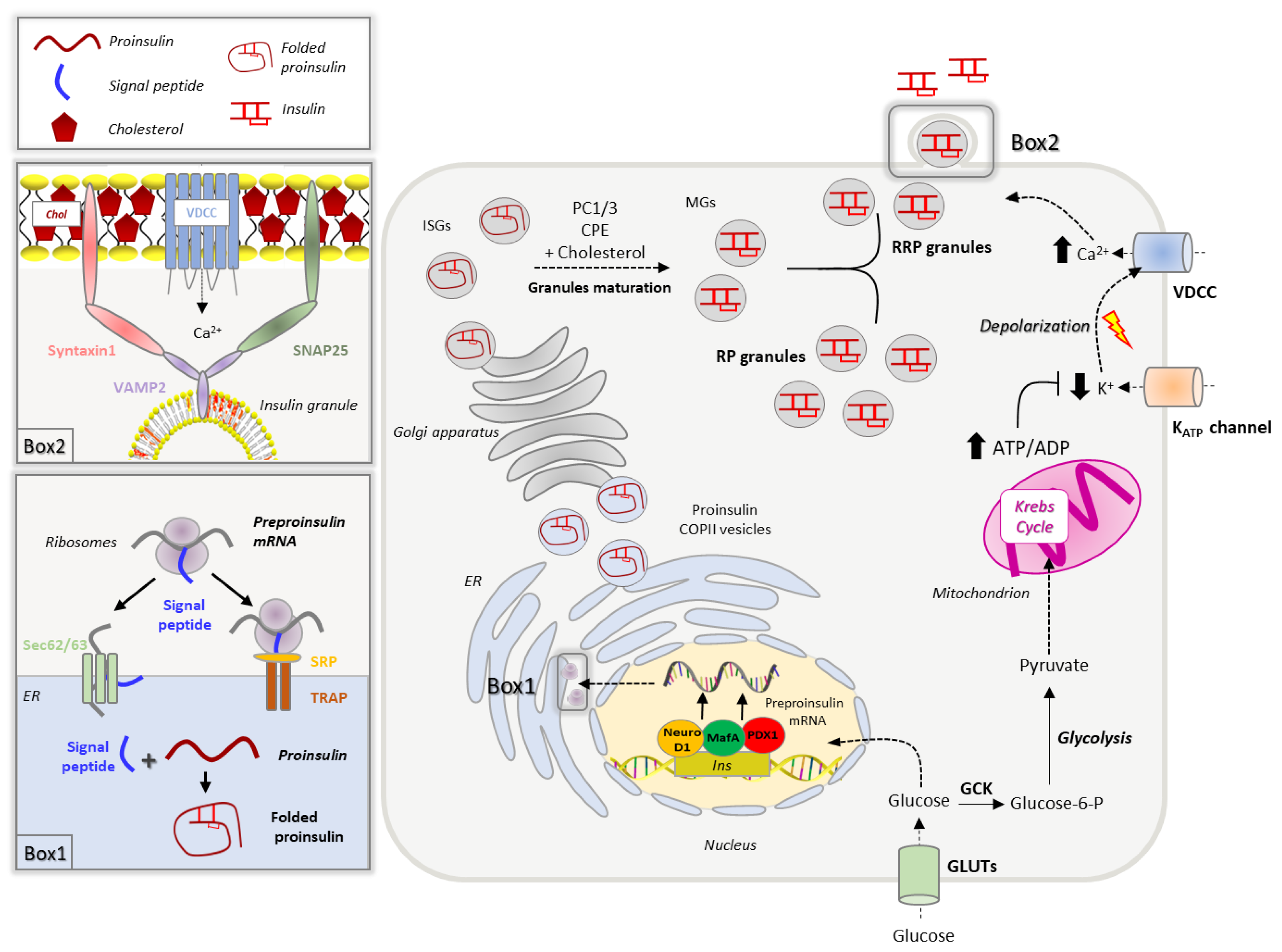 Biomolecules 13 00224 g001