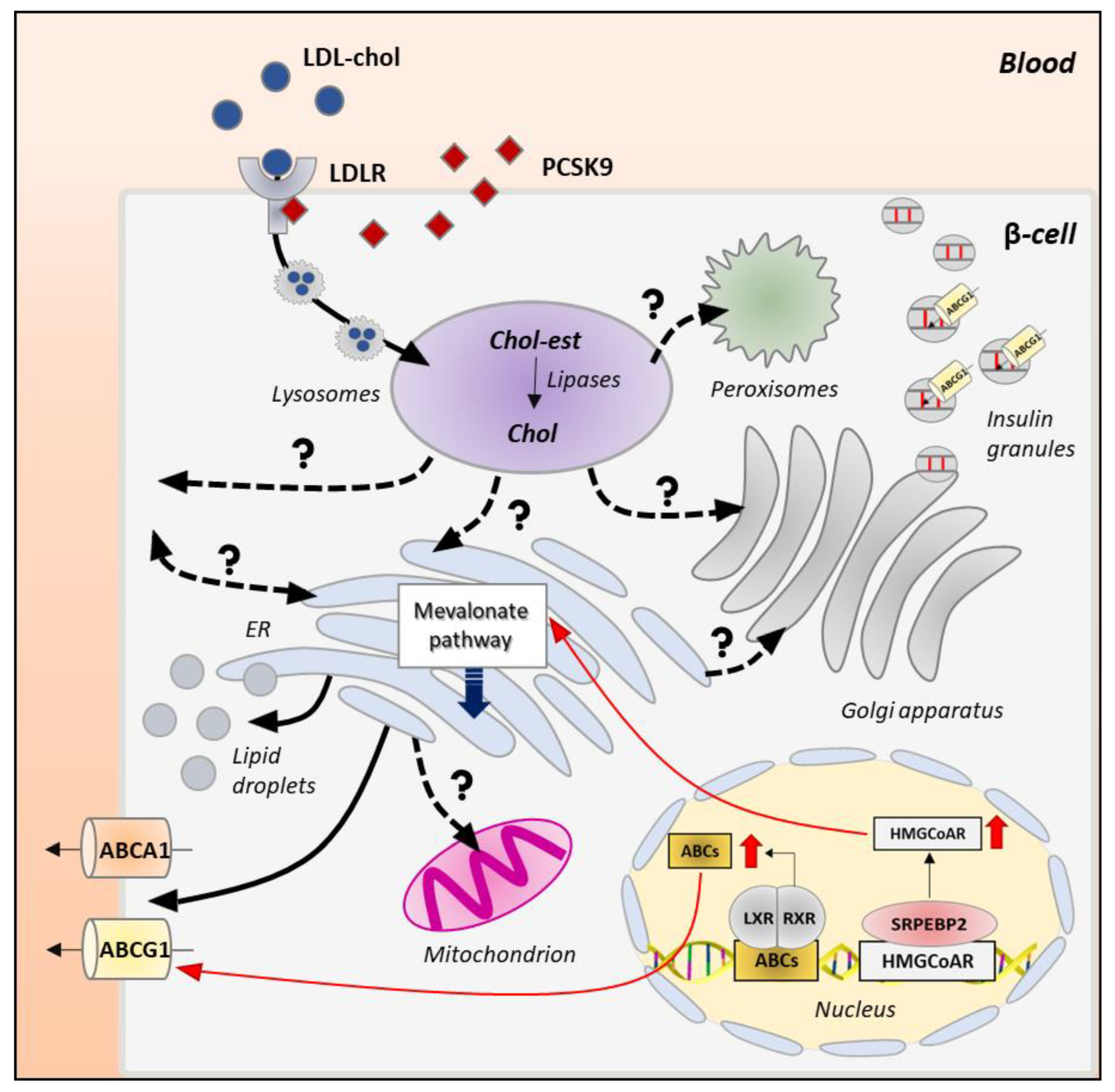 Biomolecules 13 00224 g003