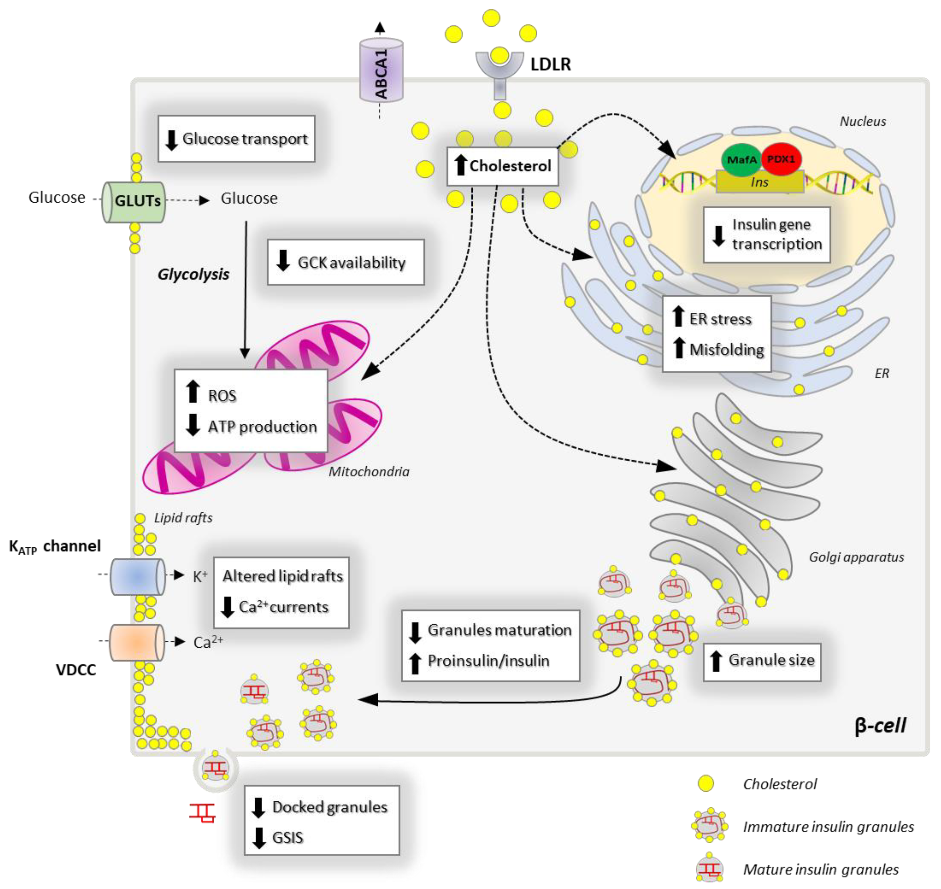 Biomolecules 13 00224 g004