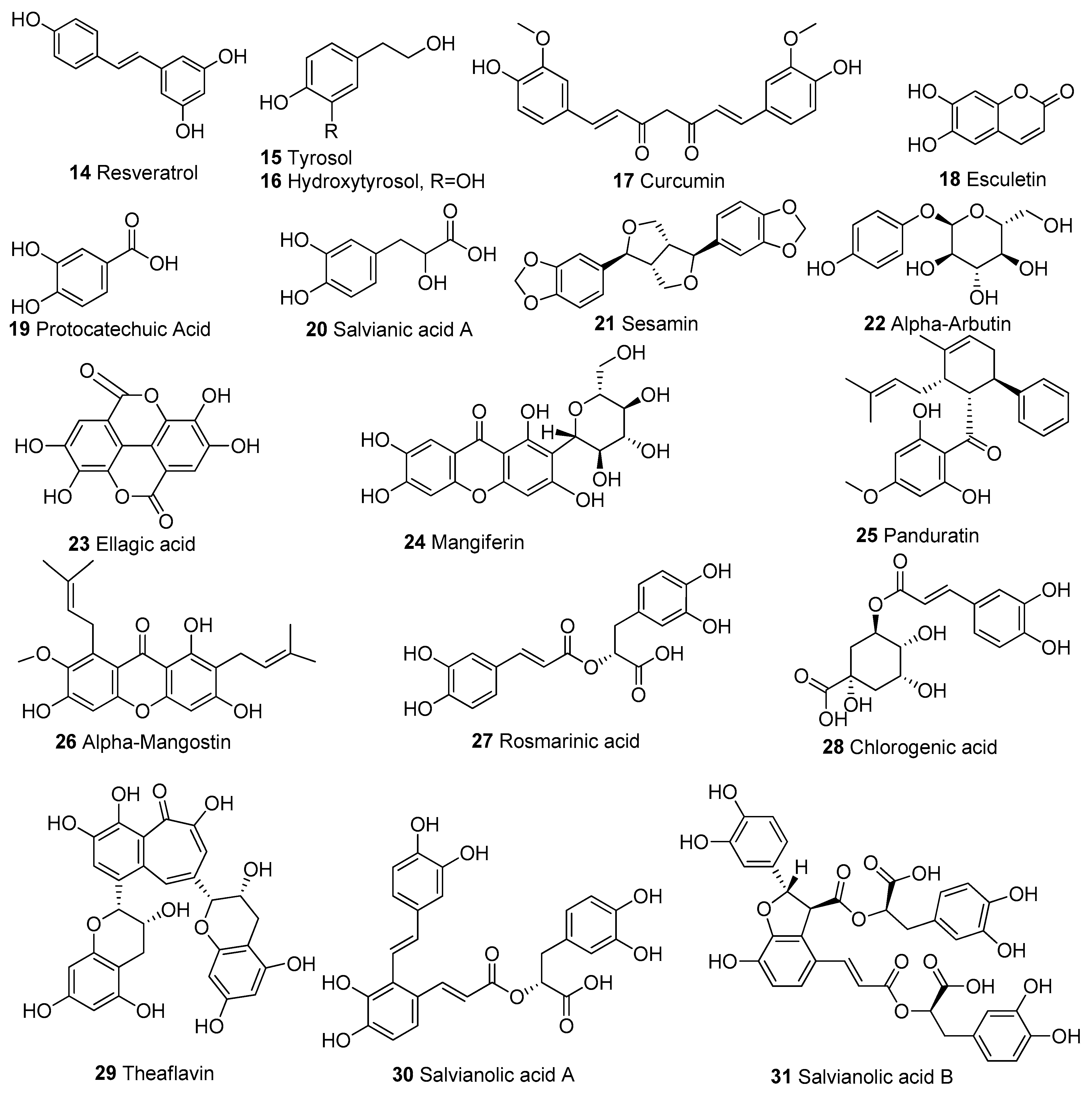 Biomolecules 13 00226 g004