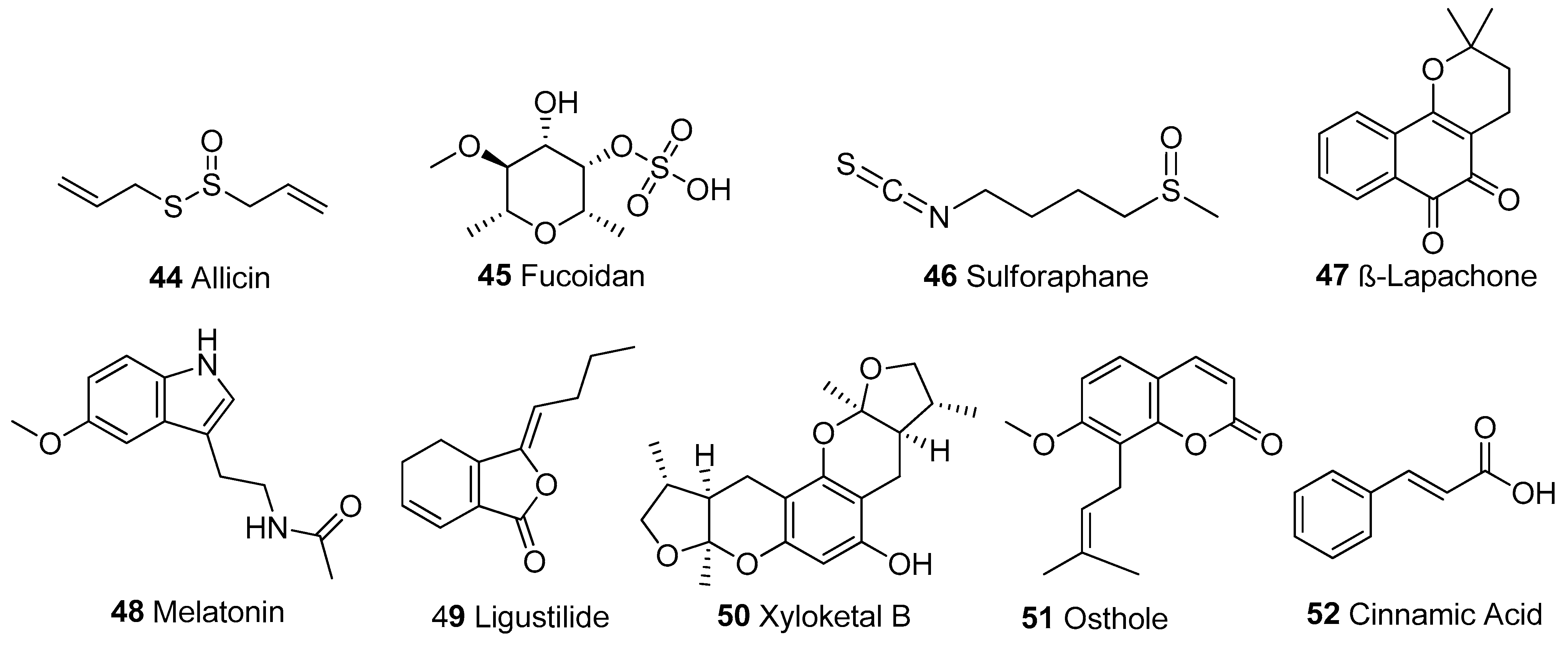 Biomolecules 13 00226 g007