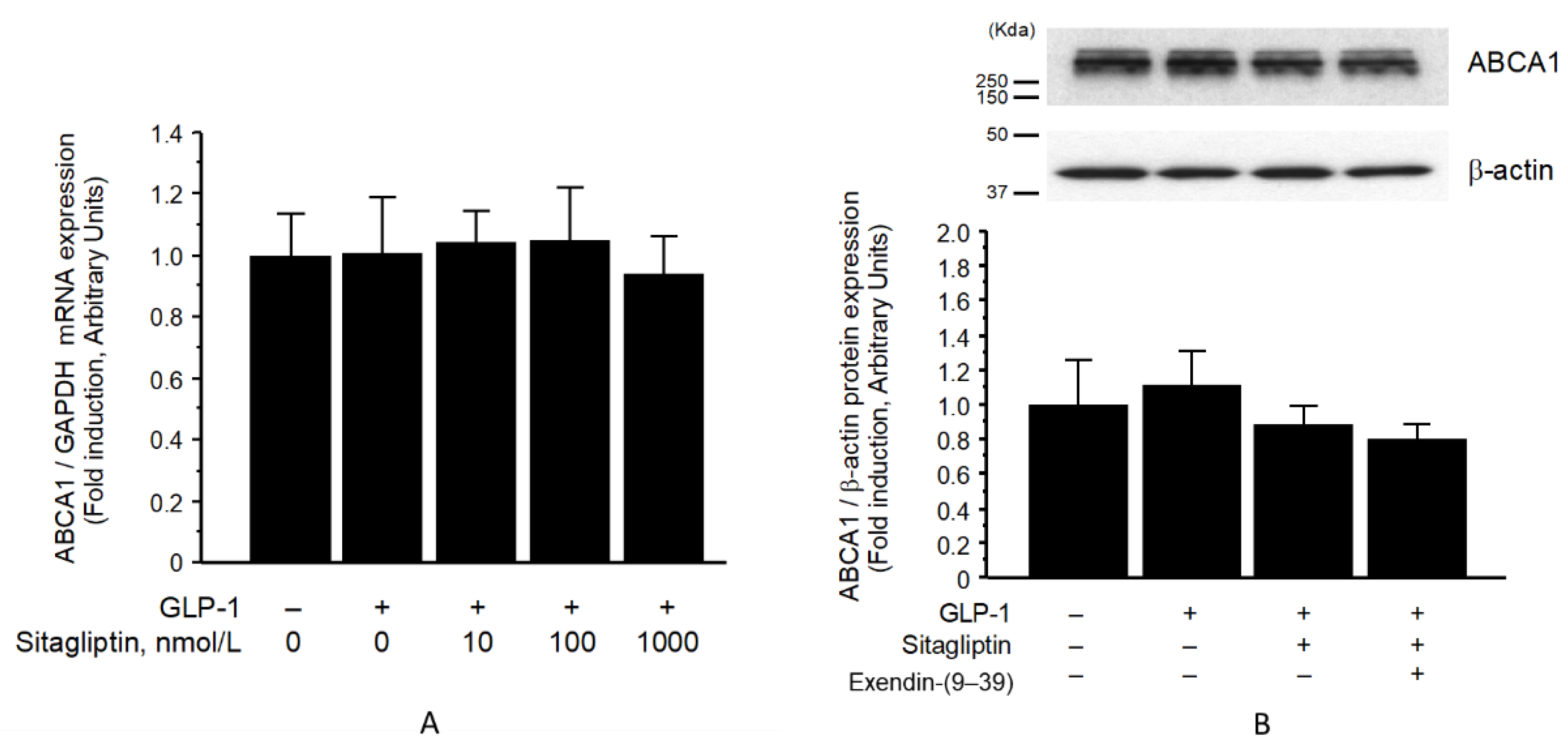 Biomolecules 13 00228 g003