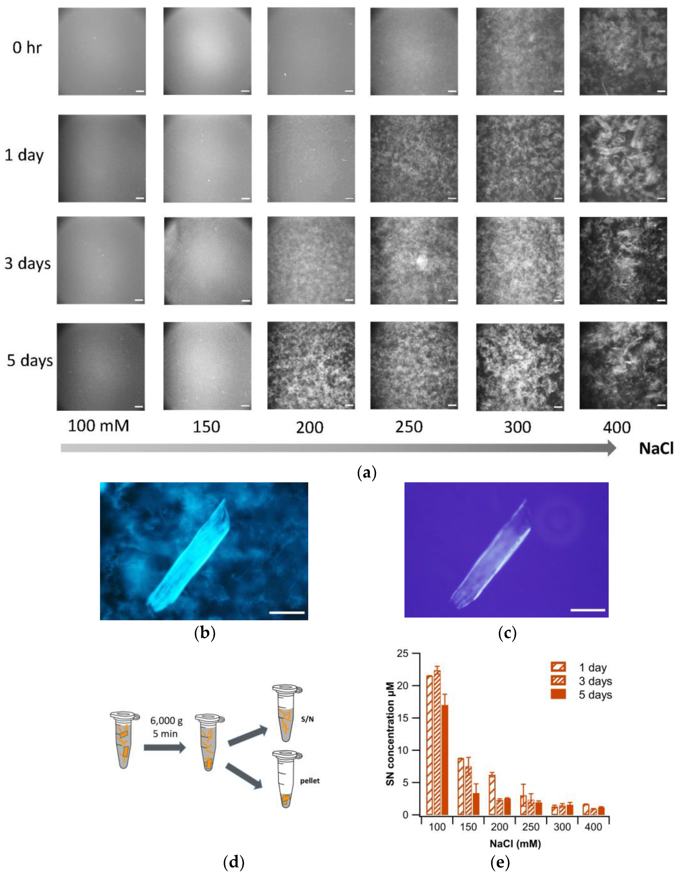 Biomolecules 13 00230 g002