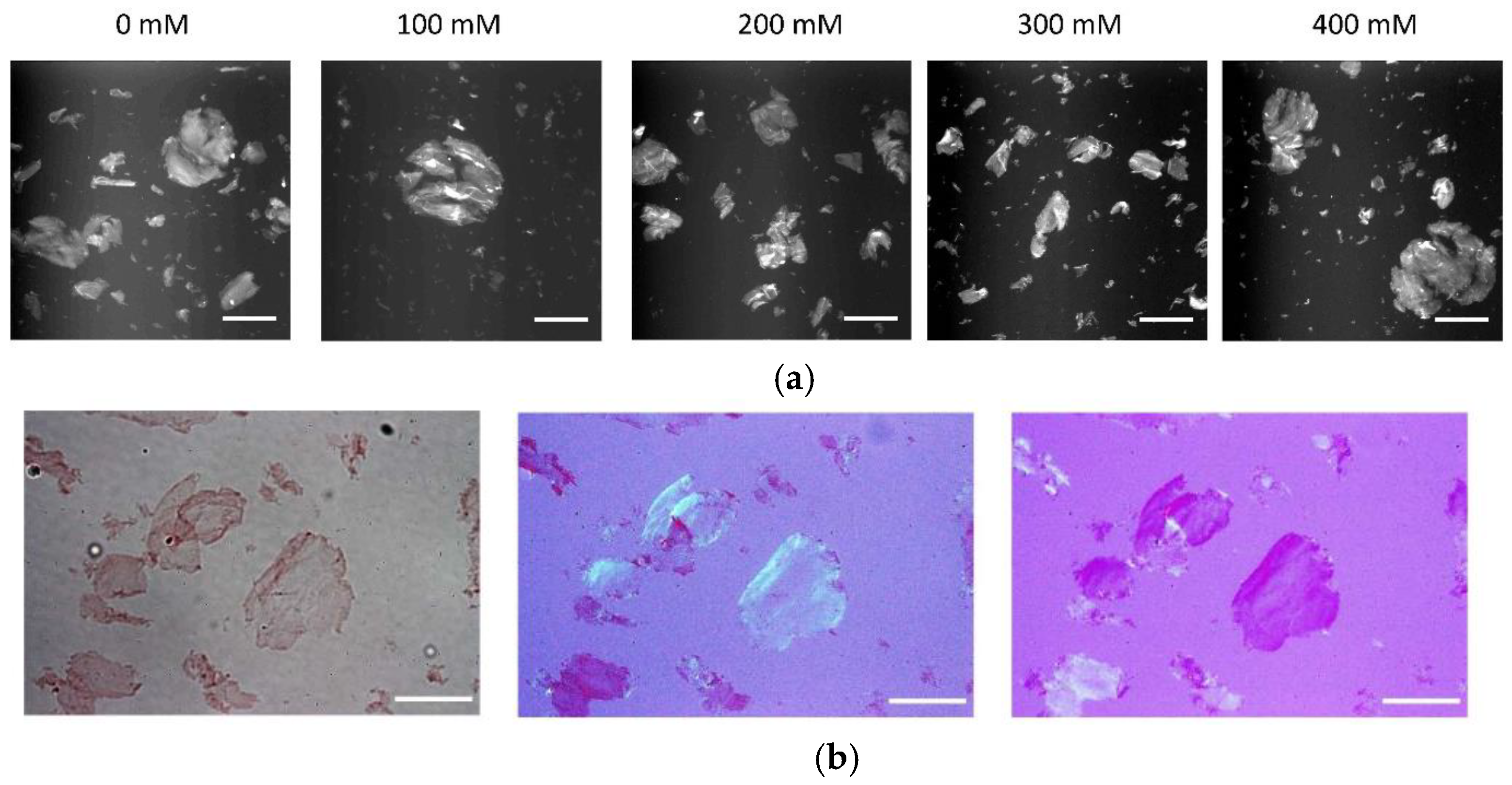 Biomolecules 13 00230 g003