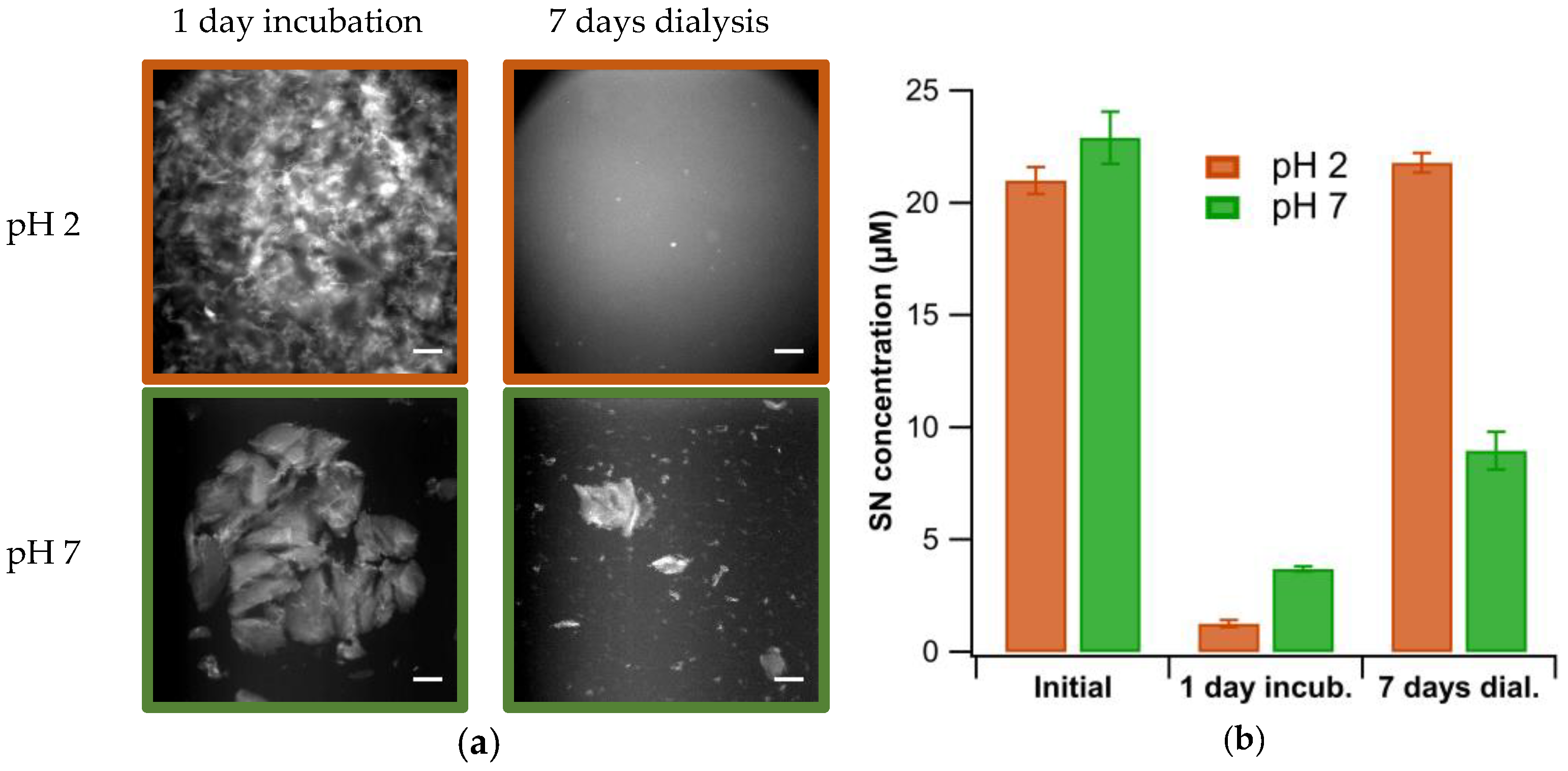 Biomolecules 13 00230 g004