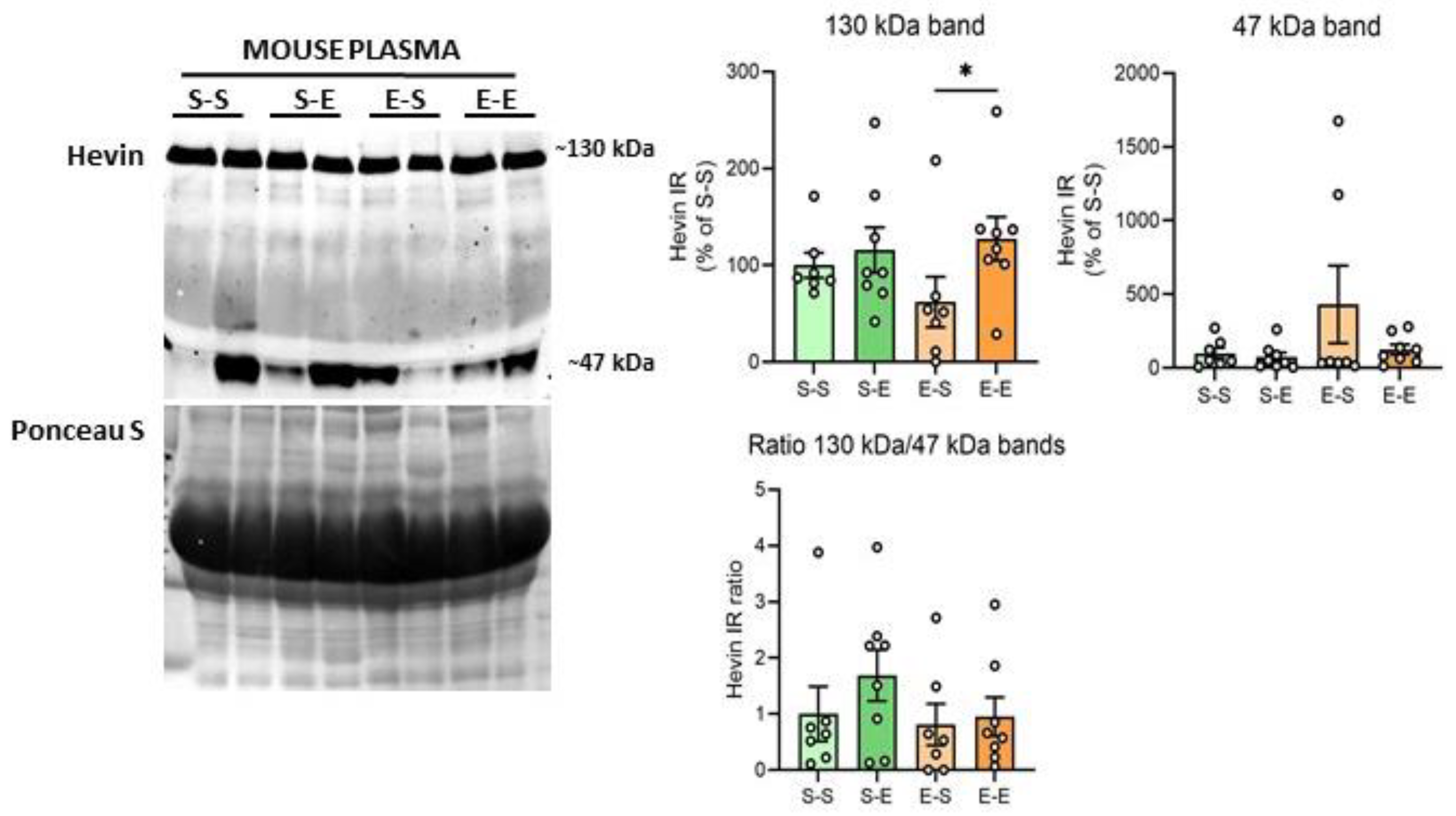 Biomolecules 13 00234 g004