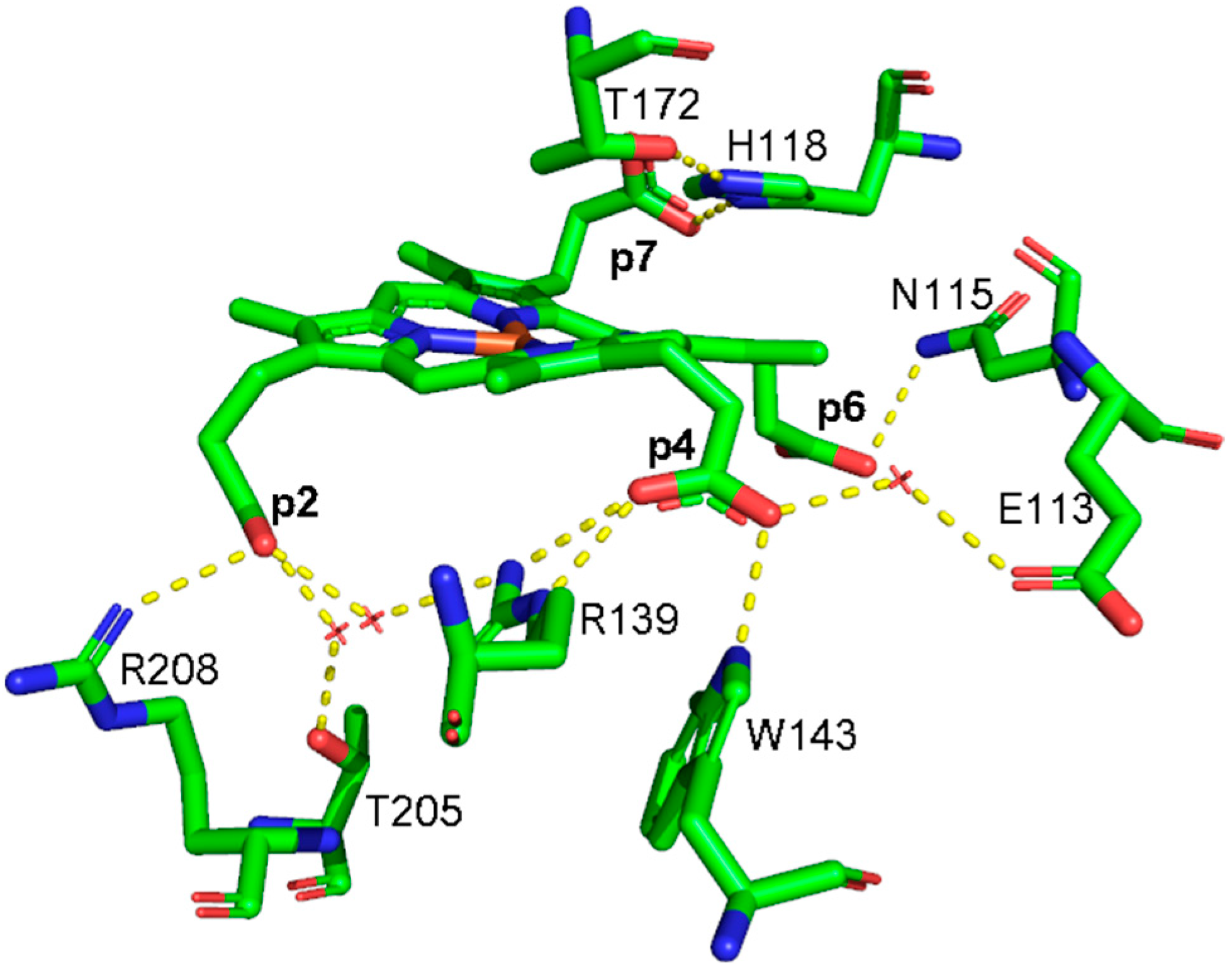 Biomolecules 13 00235 g001 Biomolecules 13 00235 g001