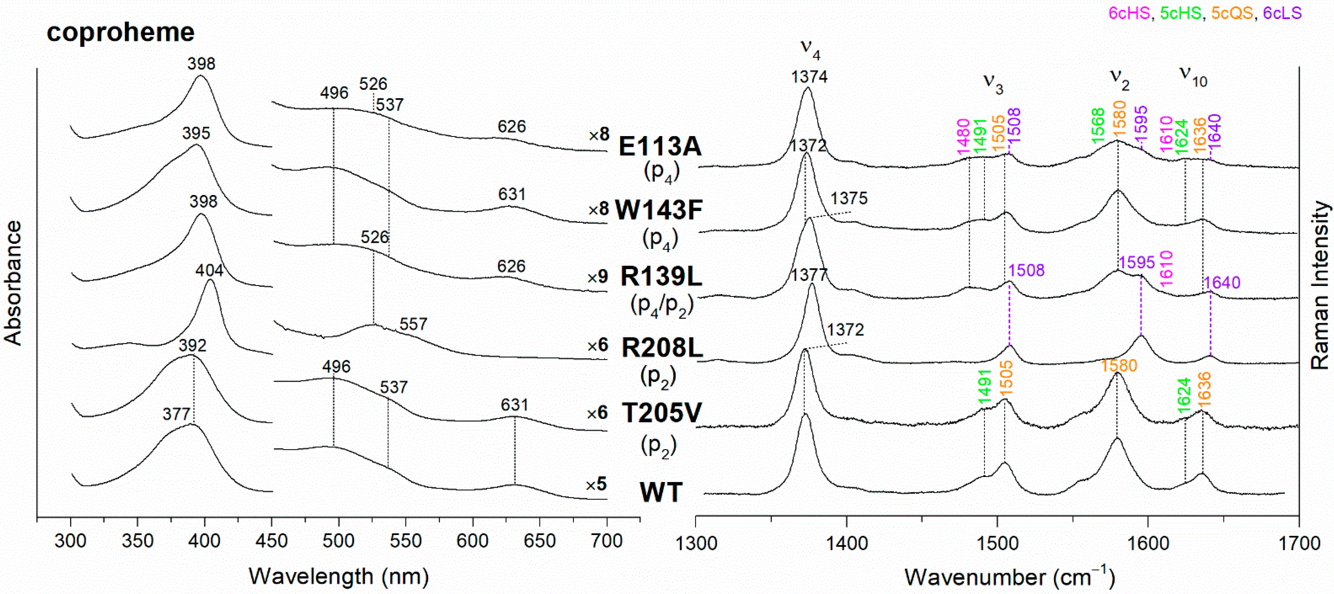 Biomolecules 13 00235 g002 Biomolecules 13 00235 g002