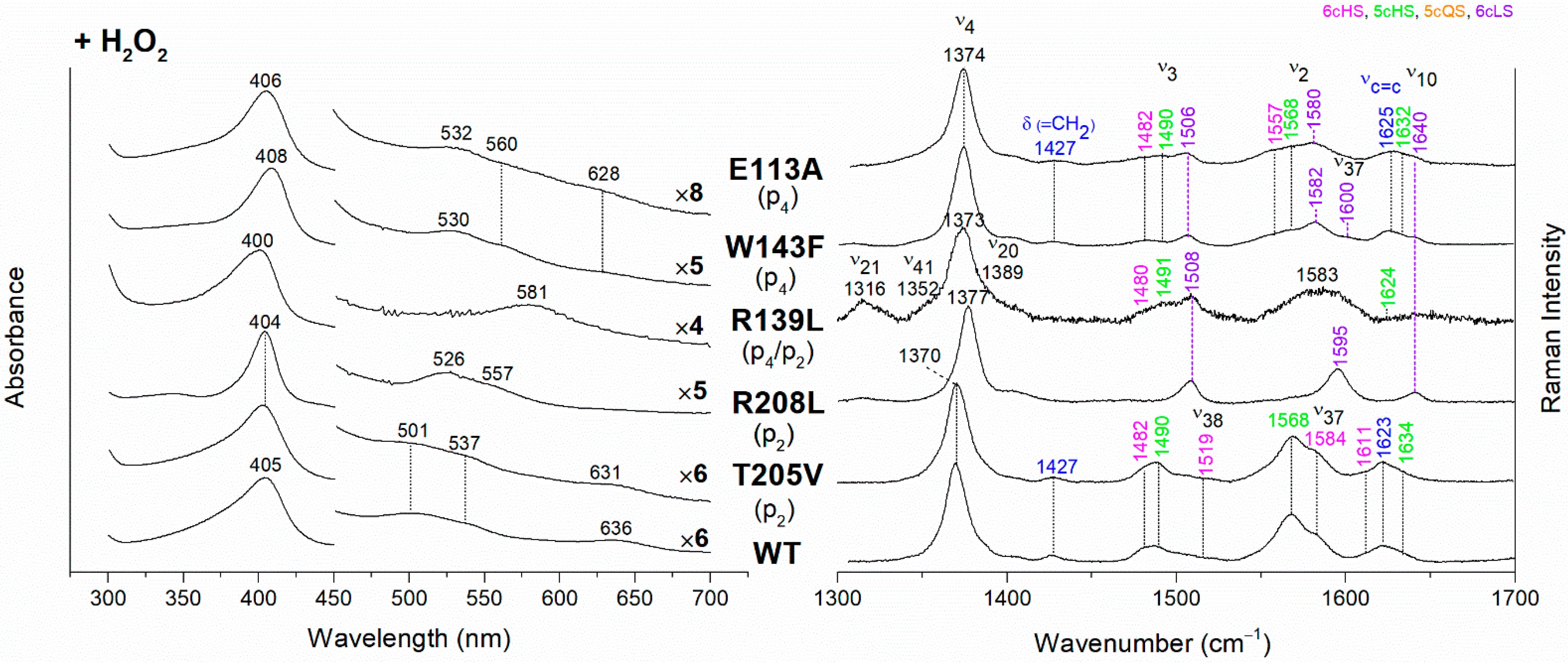 Biomolecules 13 00235 g004 Biomolecules 13 00235 g004