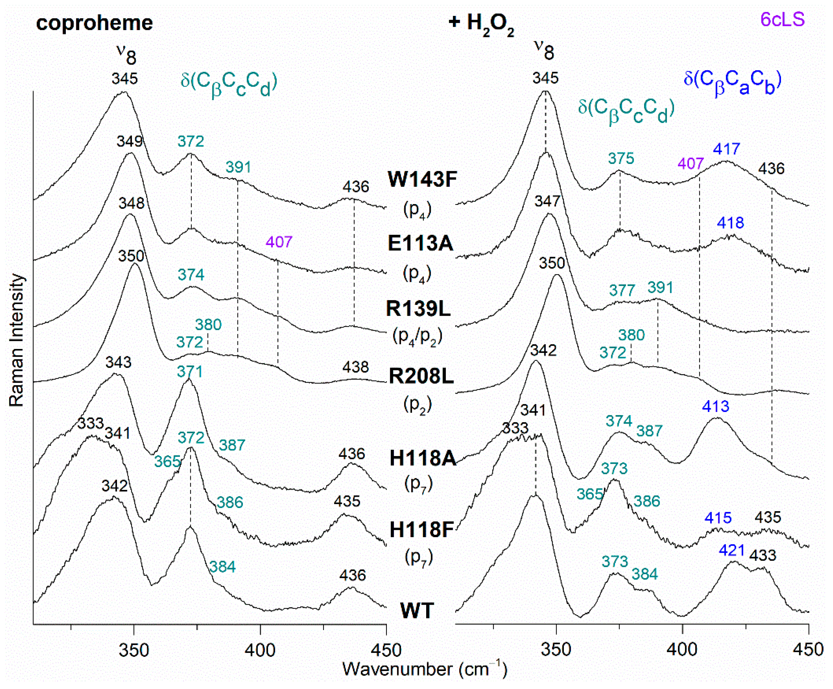 Biomolecules 13 00235 g007 Biomolecules 13 00235 g007