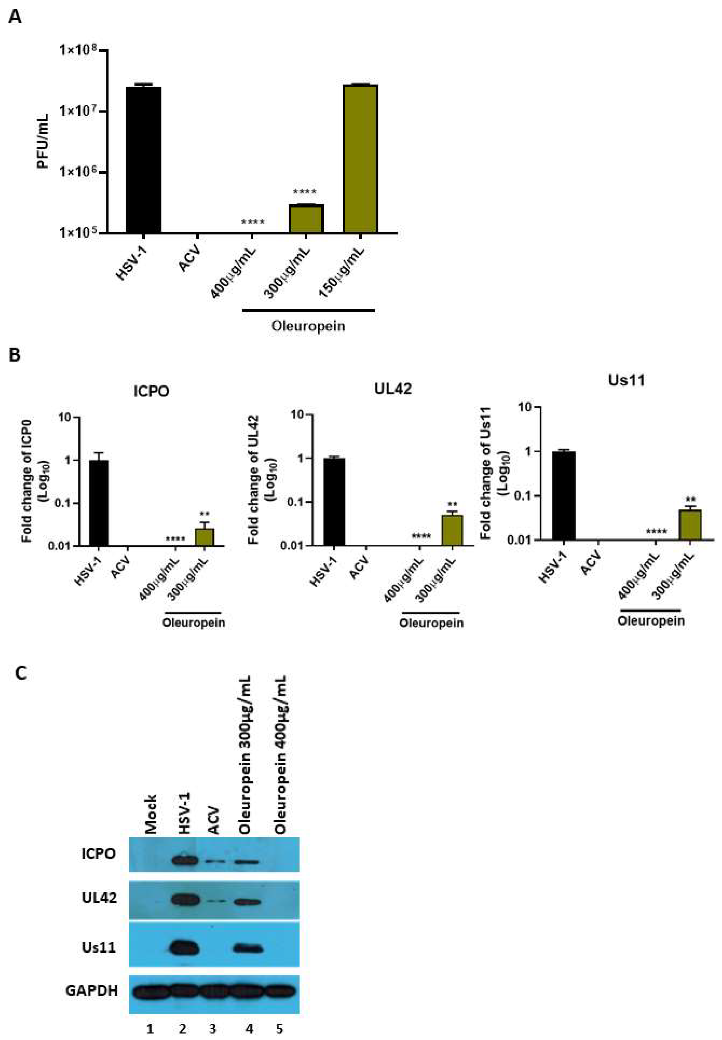 Biomolecules 13 00238 g007