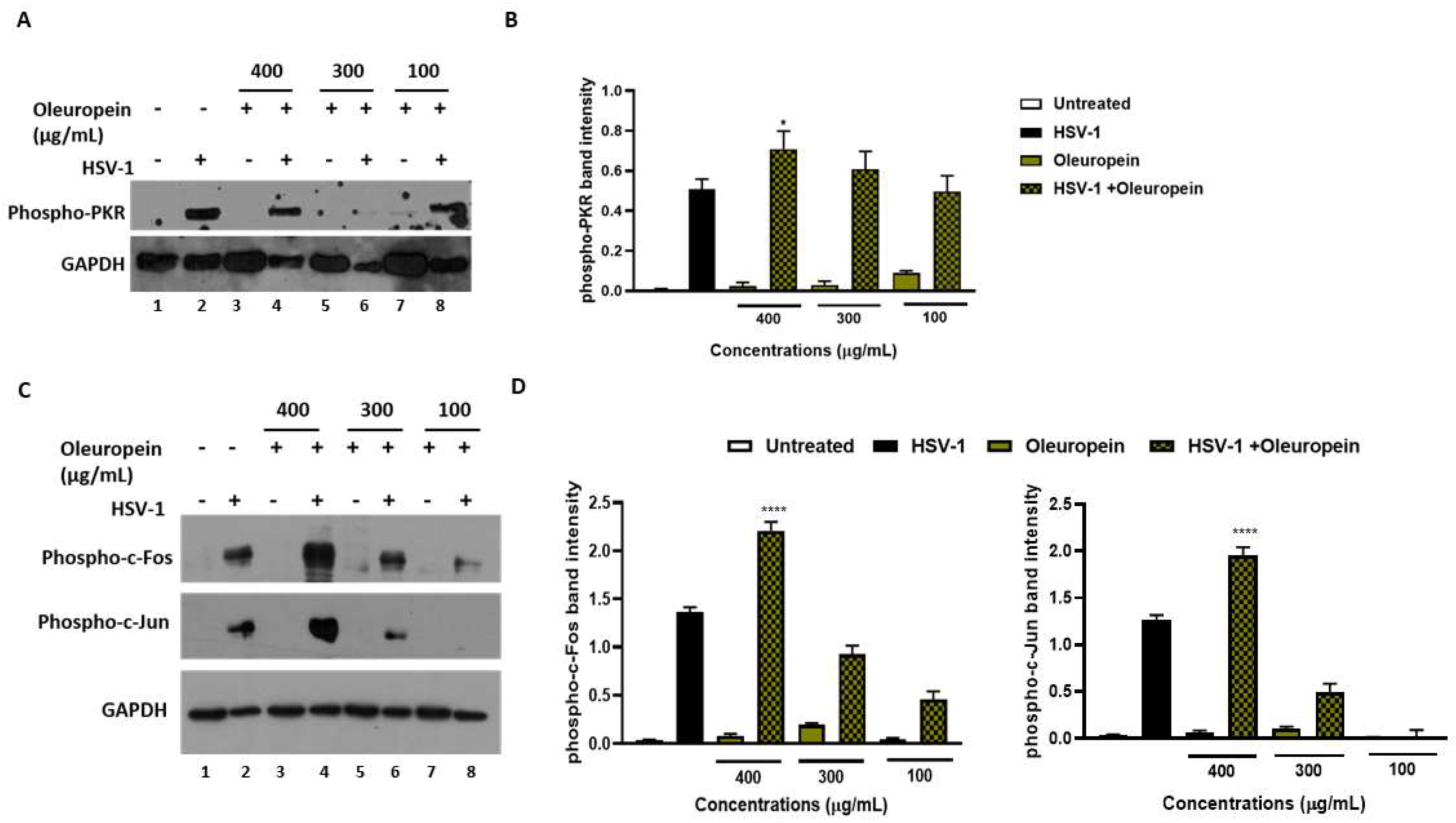 Biomolecules 13 00238 g008